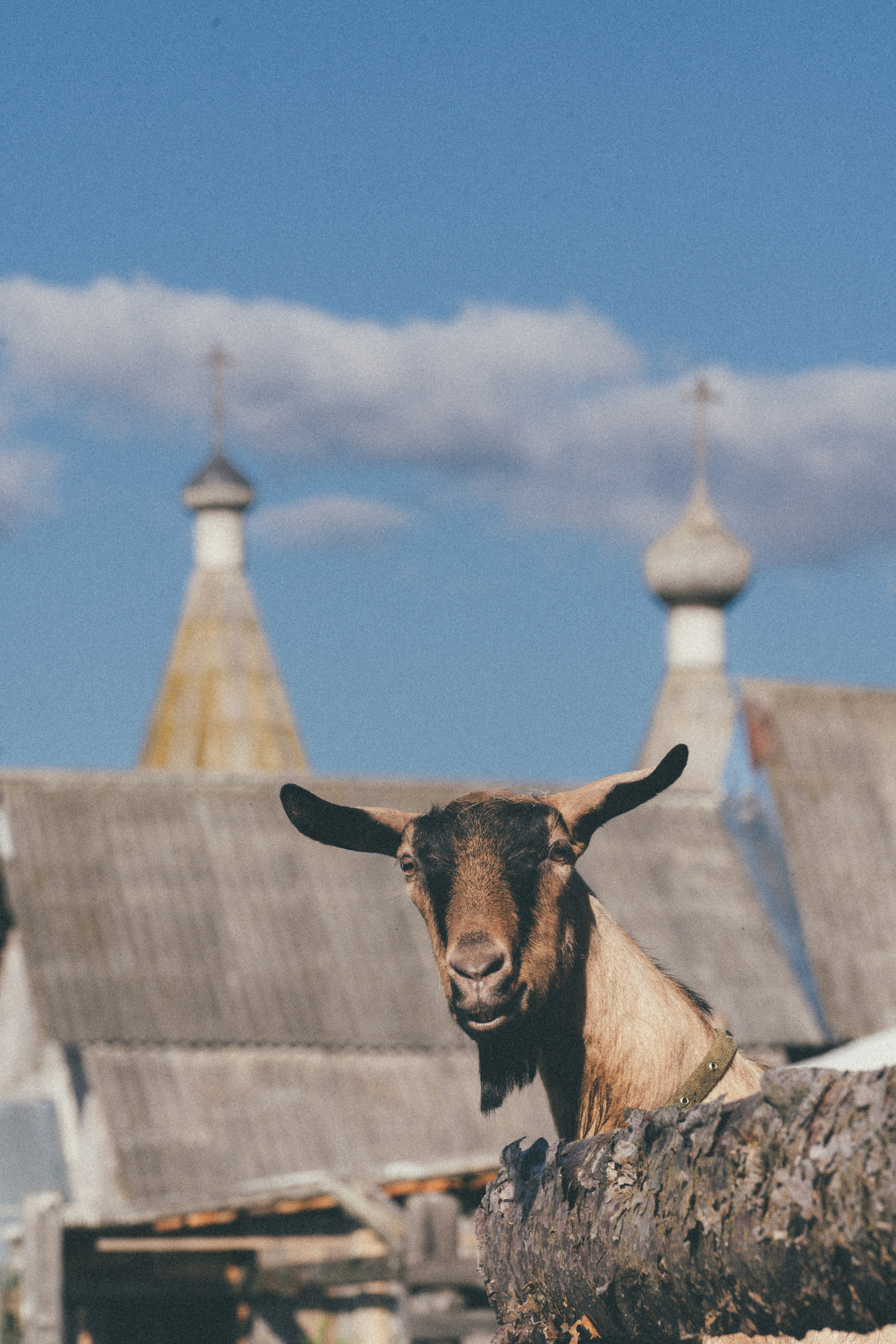 Проект «Человек локальный.Русский Север». Репортажный фотограф в Санкт-Петербурге Евдокимова Ольга