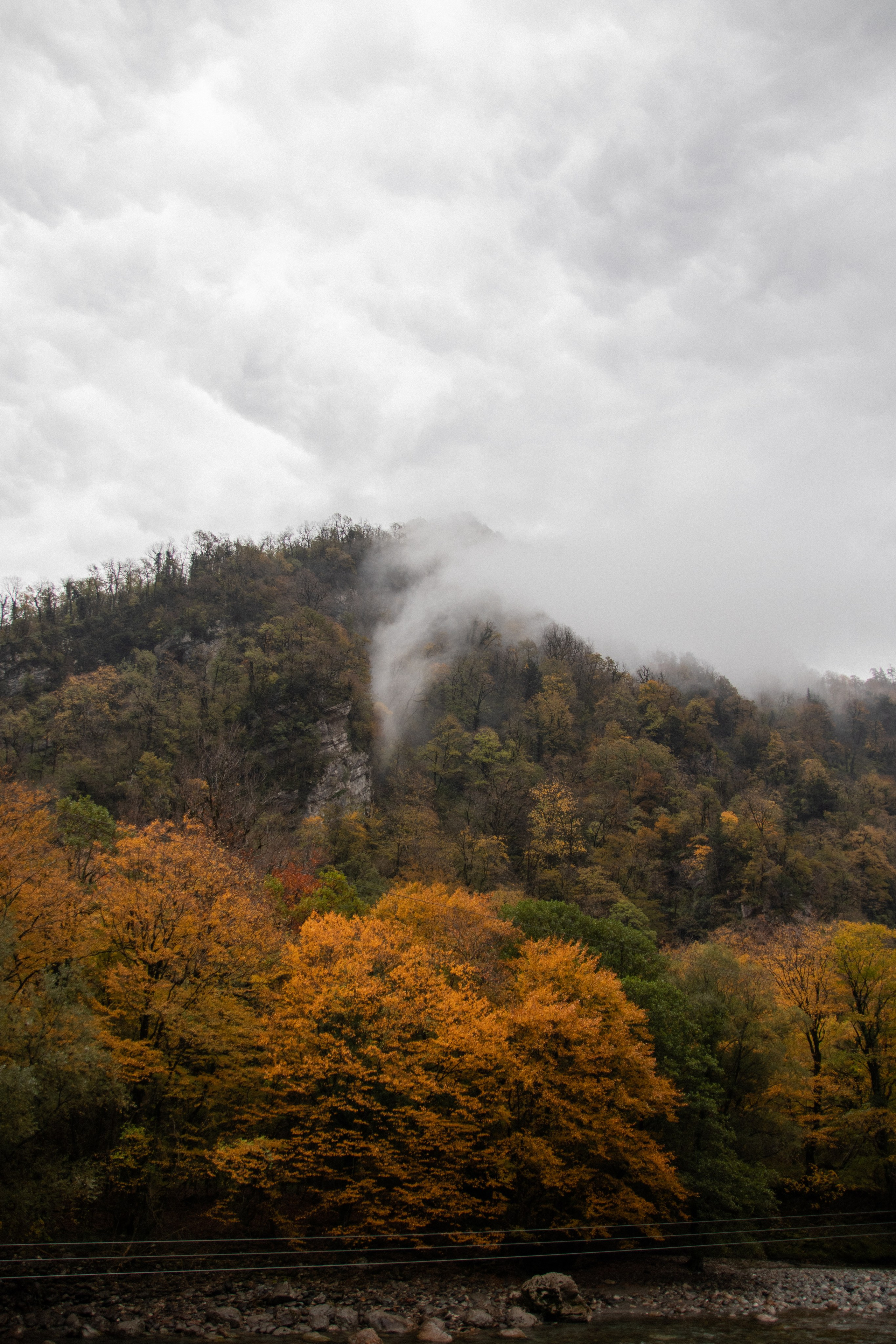 Абхазия. Фотограф Севастополь, Крым. Портретный и репортажный фотограф Коваленко Антонина