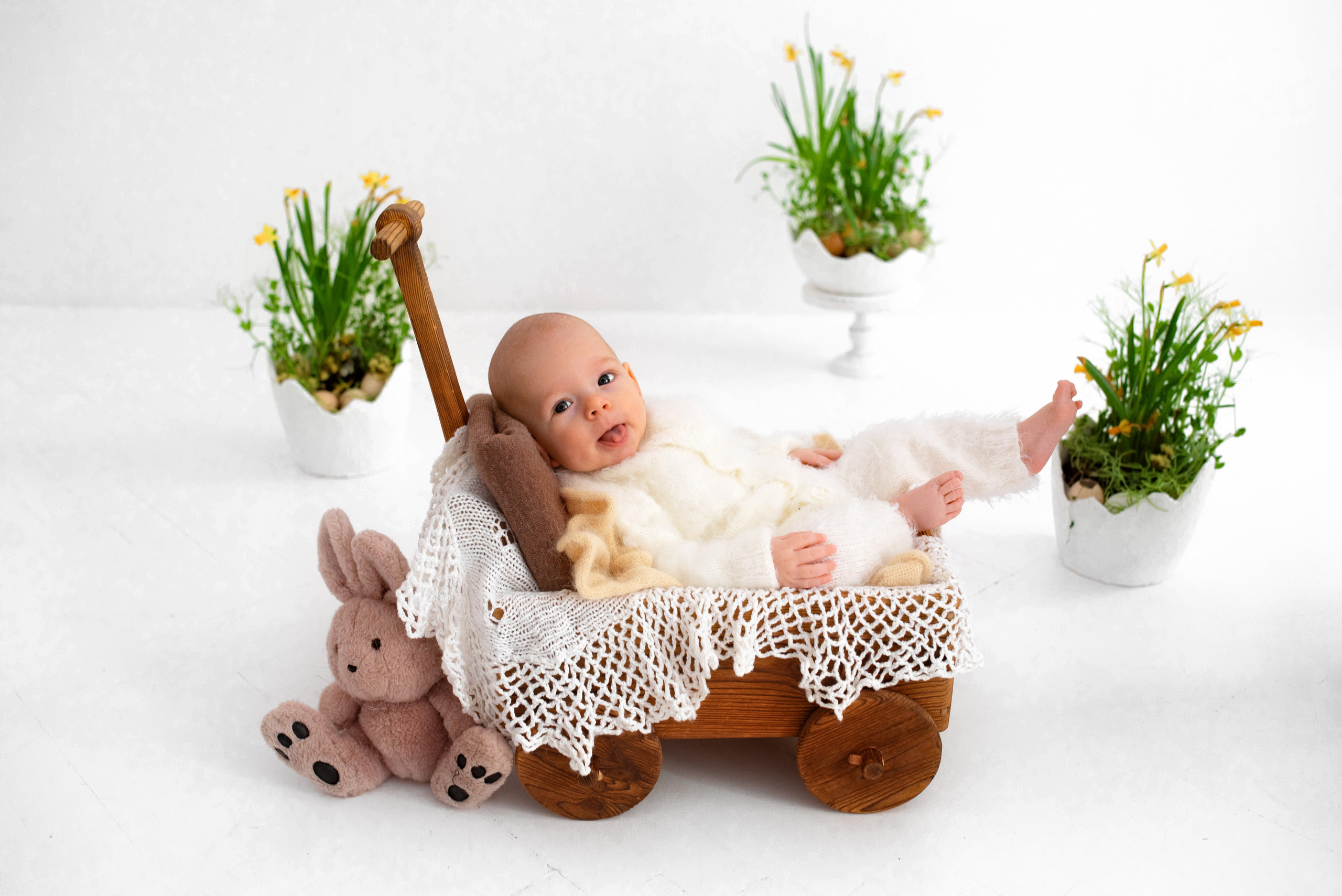 Лев (3 месяца)