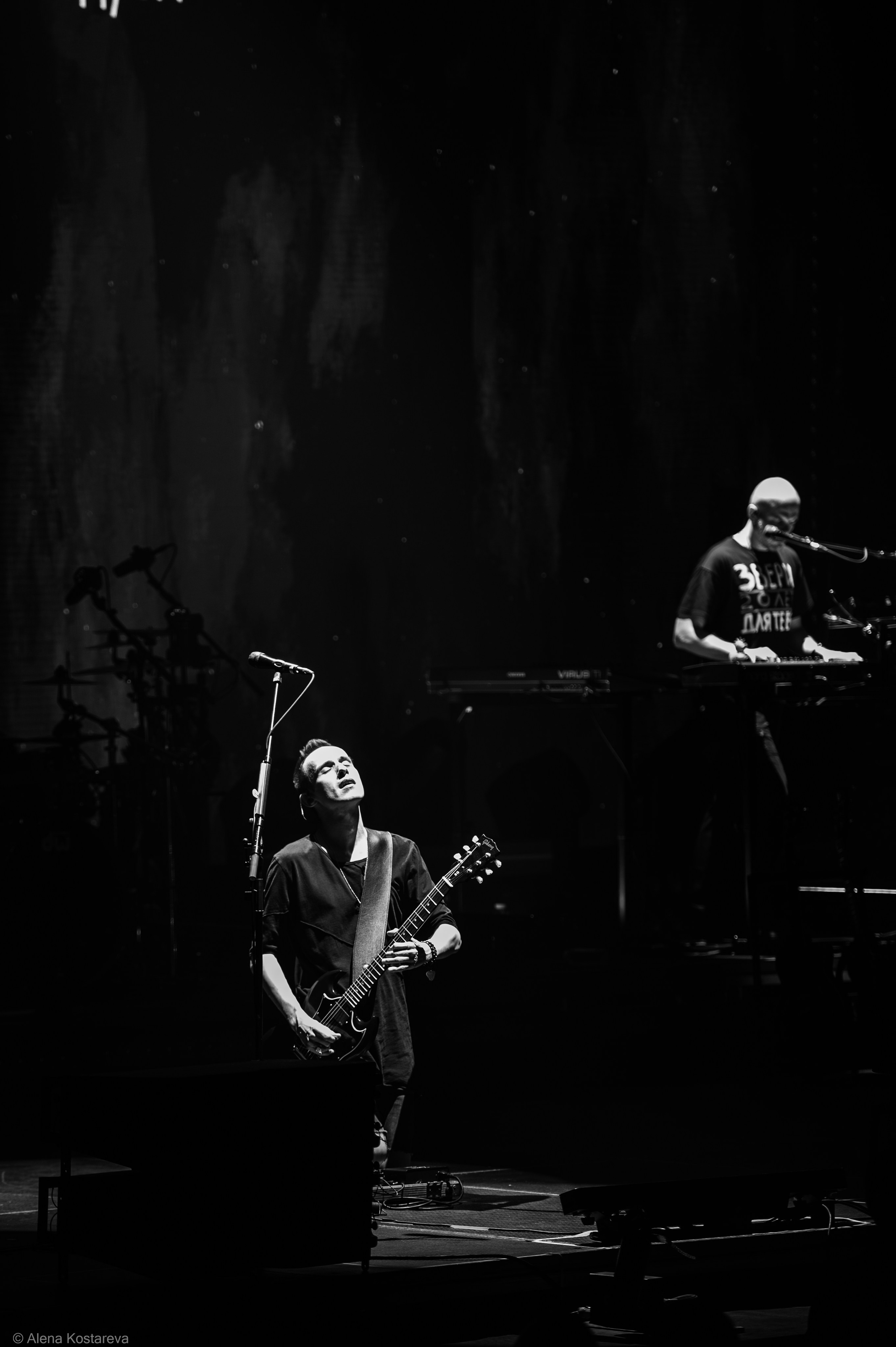 Звери. Алена Костарева. Фотограф в Ростове-на-Дону