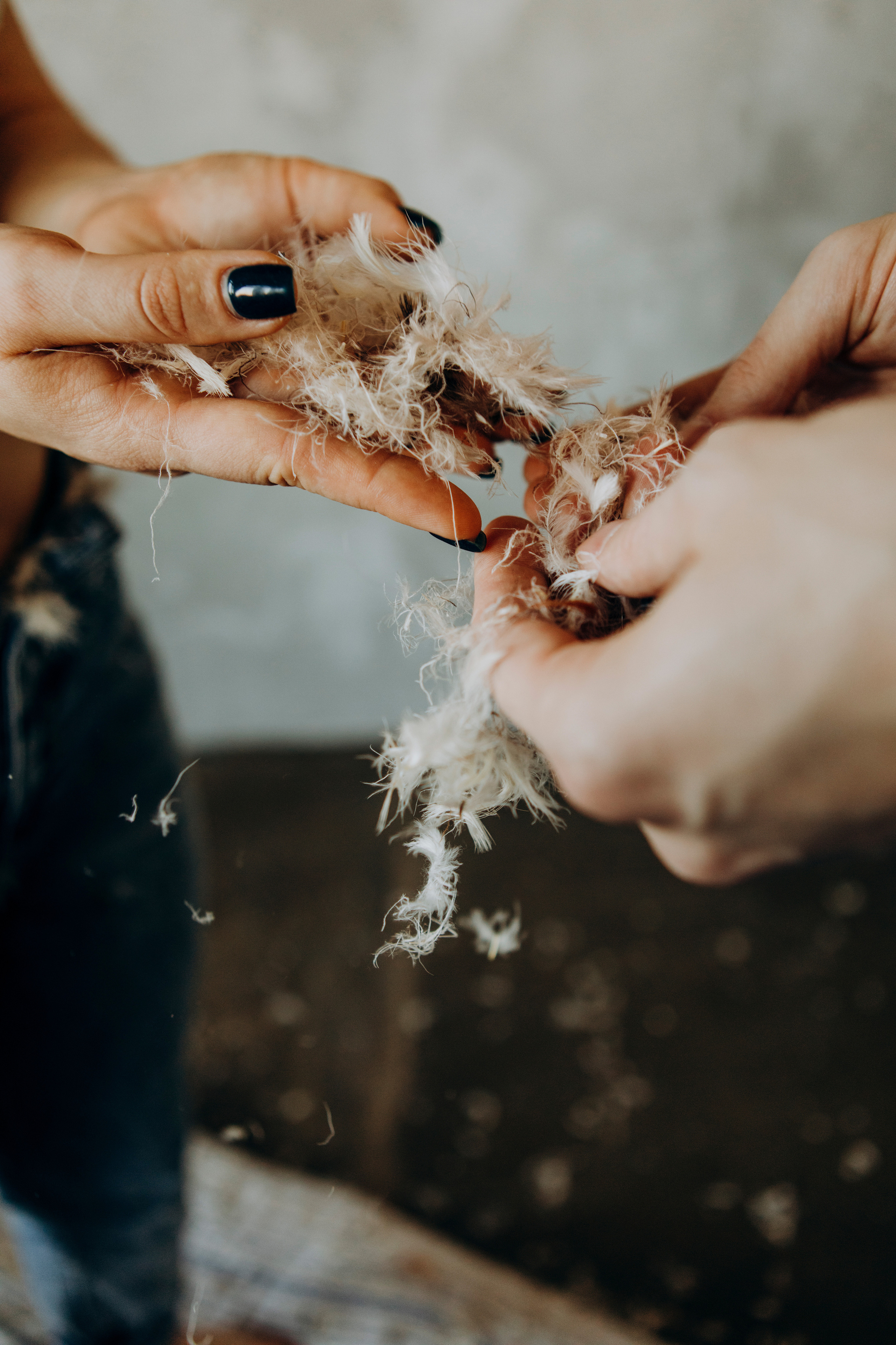 Пух, мех или перо?). Свадебный и семейный фотограф Арестенко Анастасия