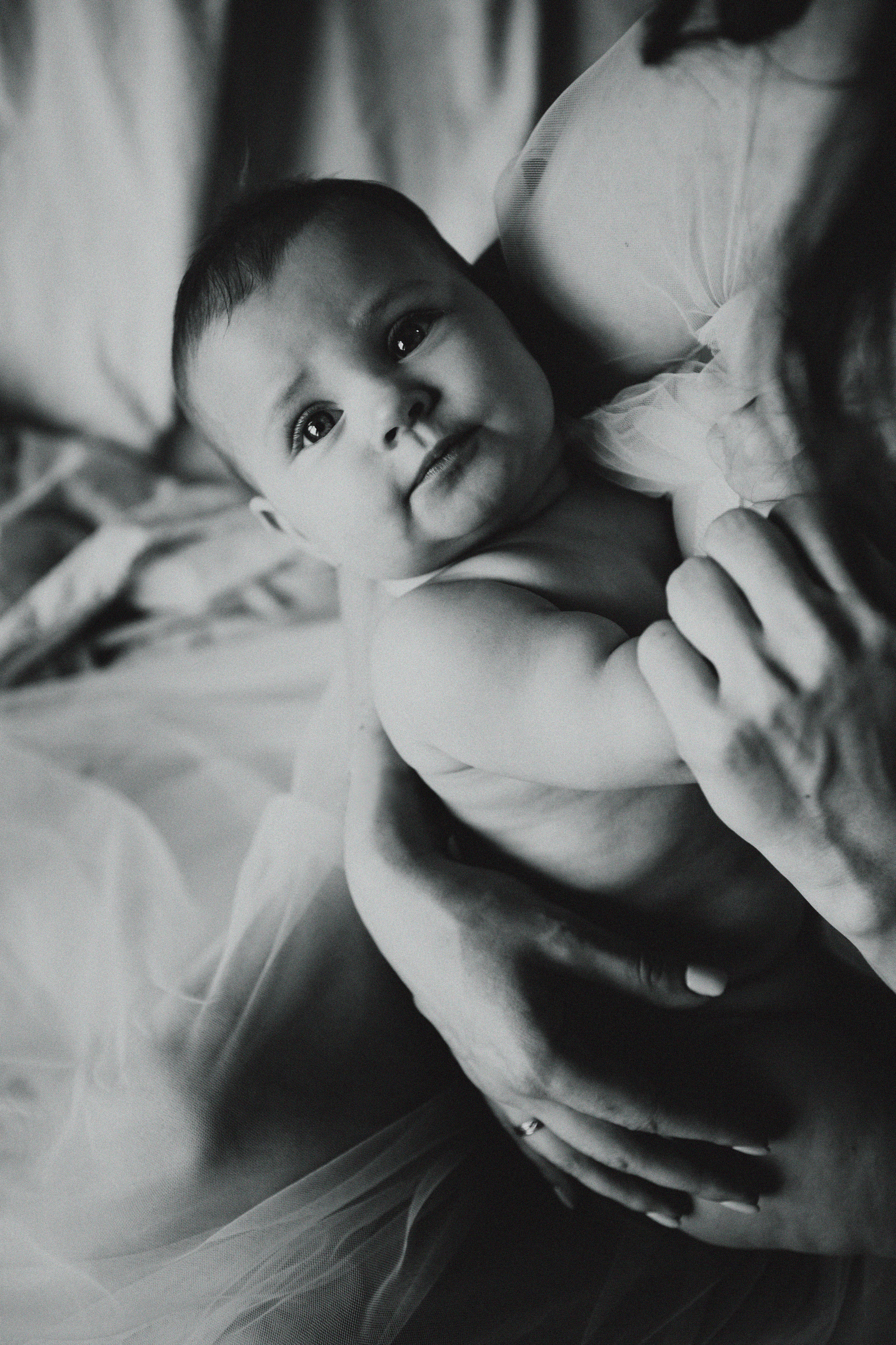 С картины. Свадебный и семейный фотограф Арестенко Анастасия