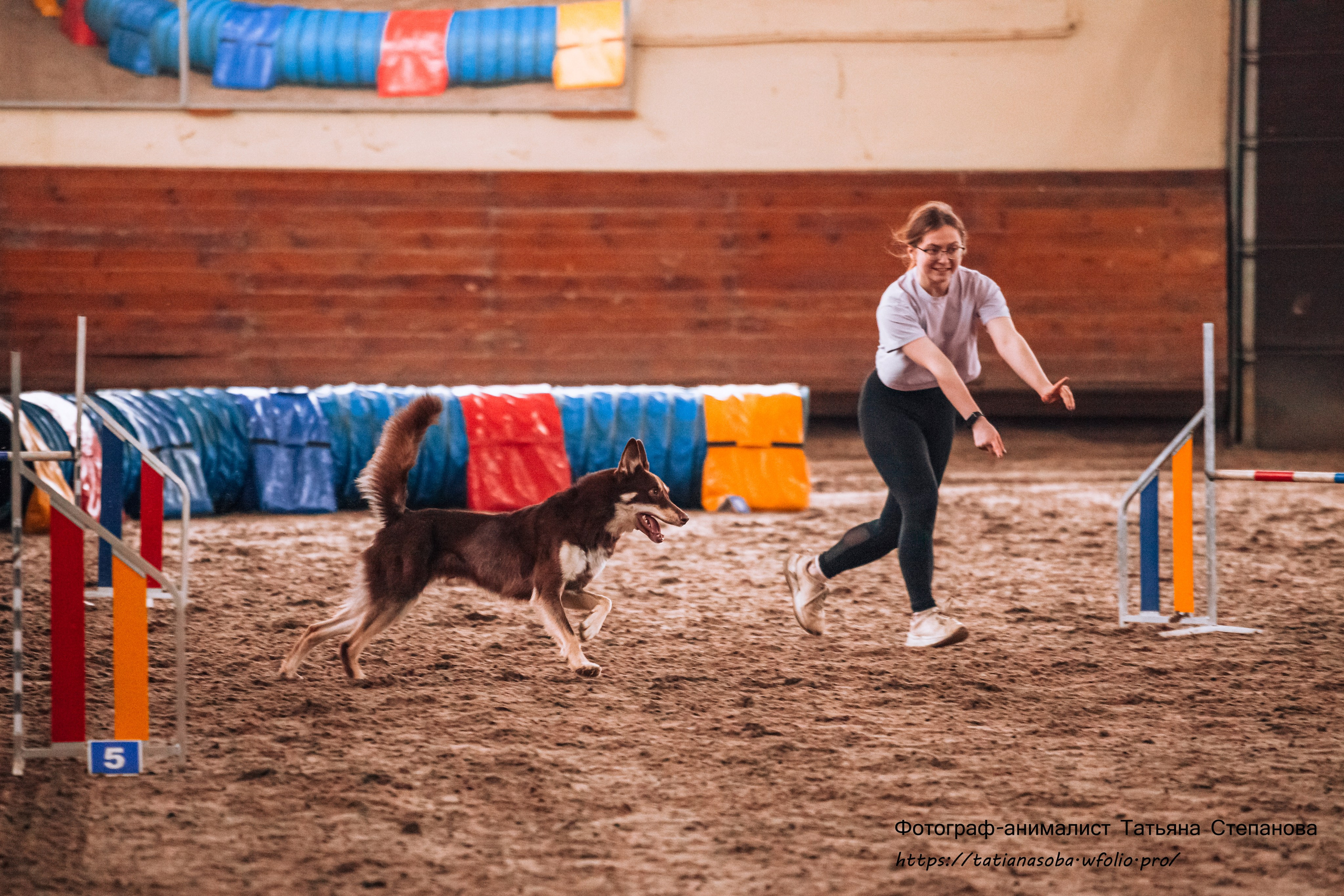 Соревнования по Аджилити 25.02.2024. Фотограф-анималист Татьяна Степанова