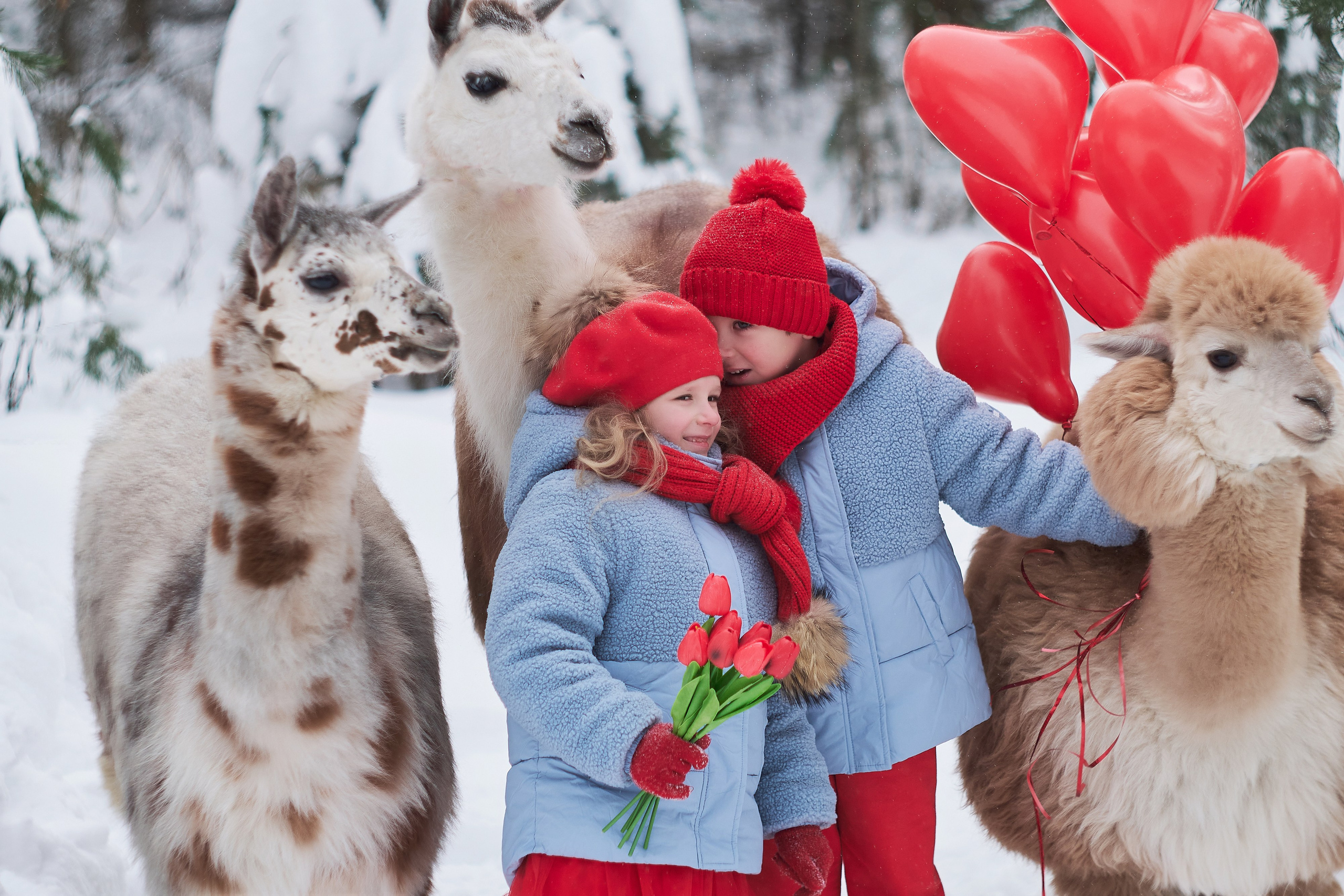 Фотосессии с животными. Портретный фотограф в Москве Виктория Колышева