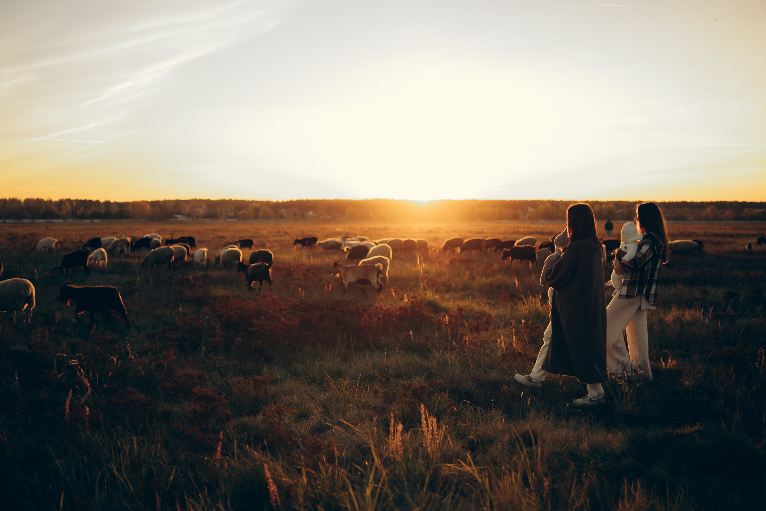 Встреча заката. Семейный и детский фотограф в Щелково Алена Дробот