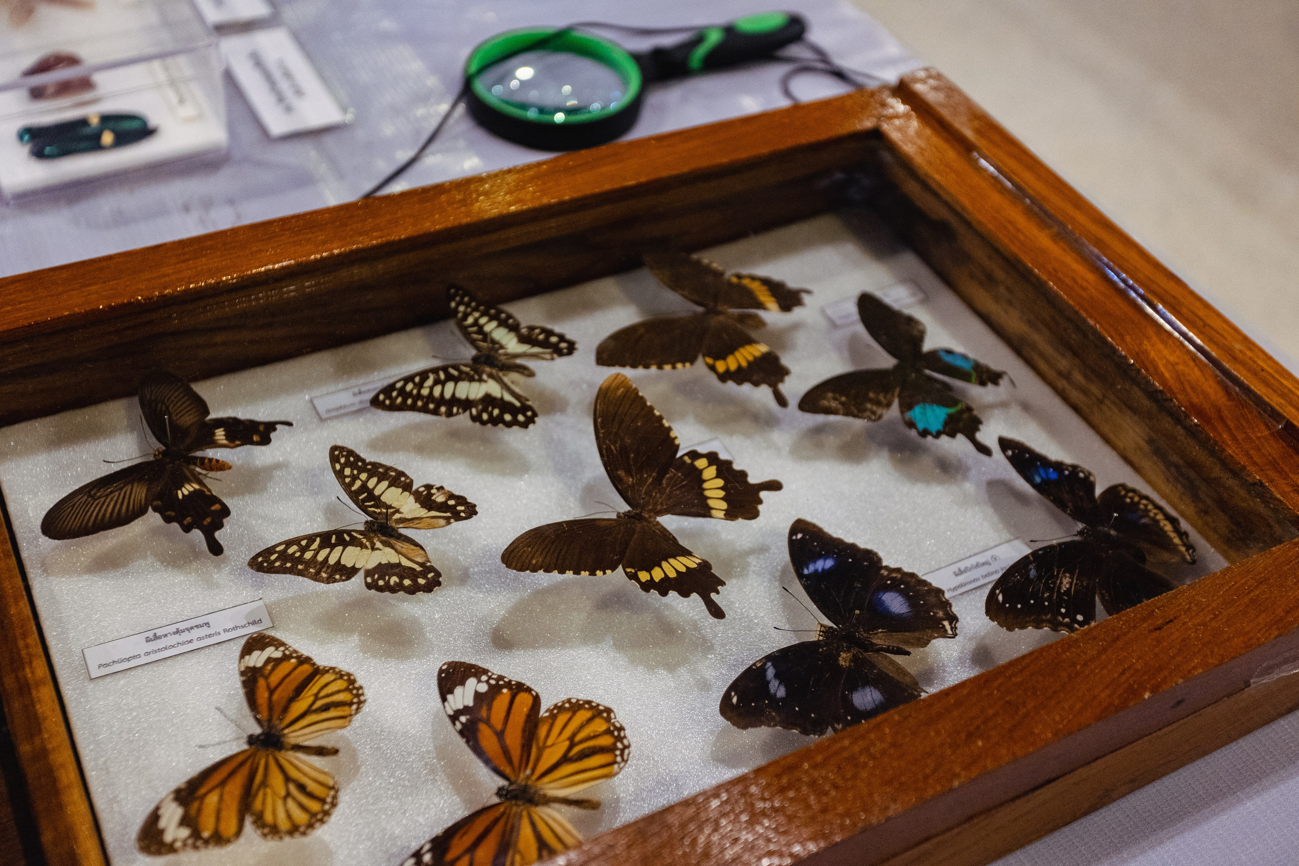 Bangkok Planetarium. Photographer Sonkina Tatiana (Tanya Ash)