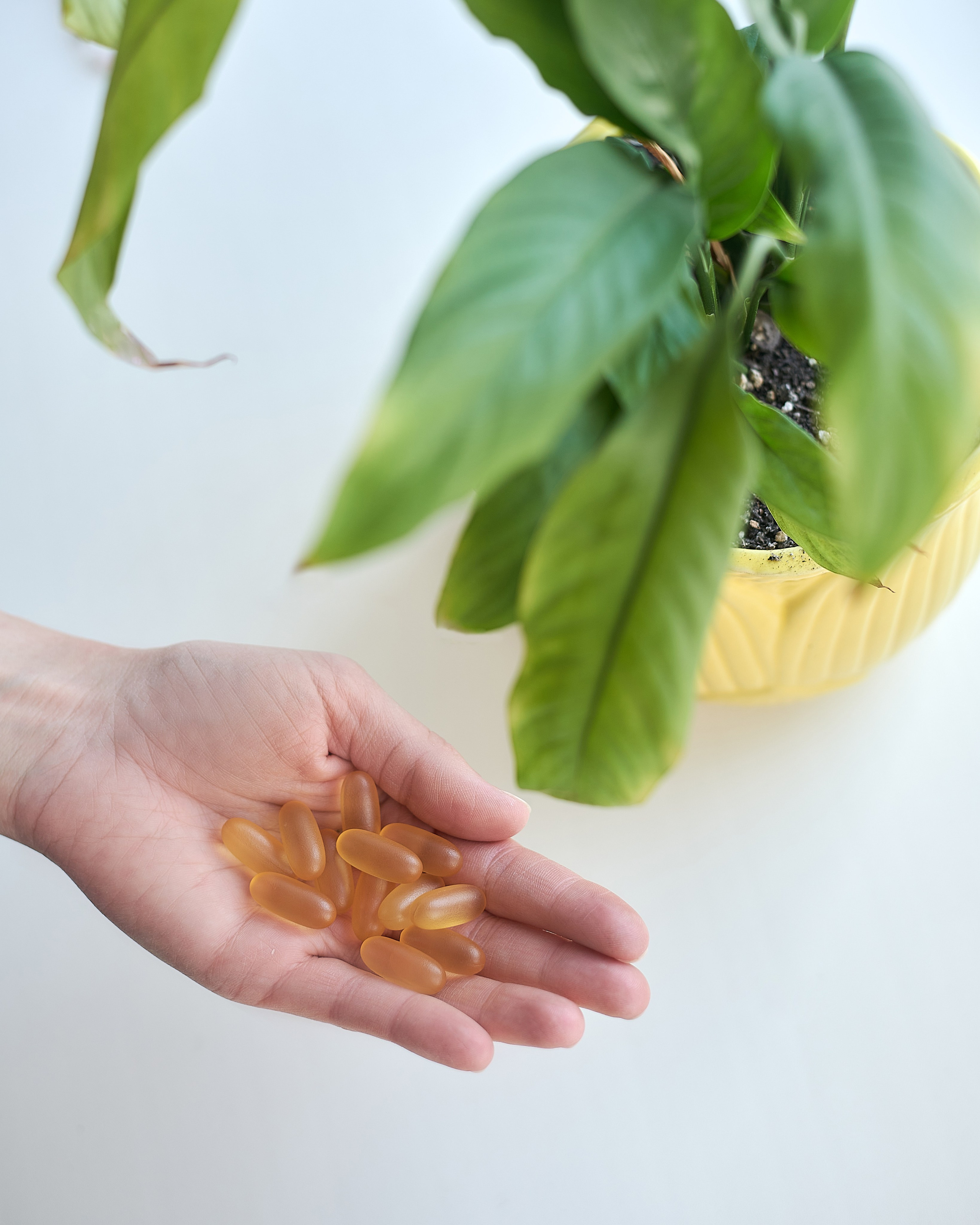 Контент — съемка для нутрициолога. Фотограф Елена Дука. Контент съемка. Семейная фотография