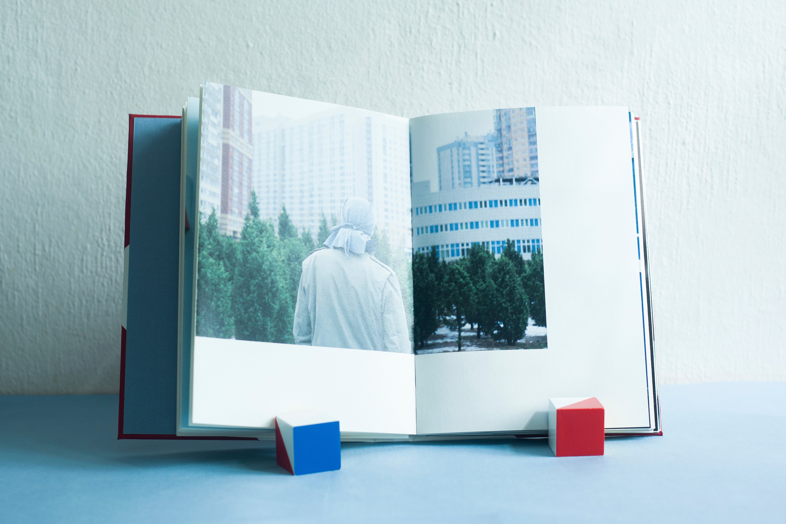 A book about the project. Aleksandra Mikhailova multimedia artist