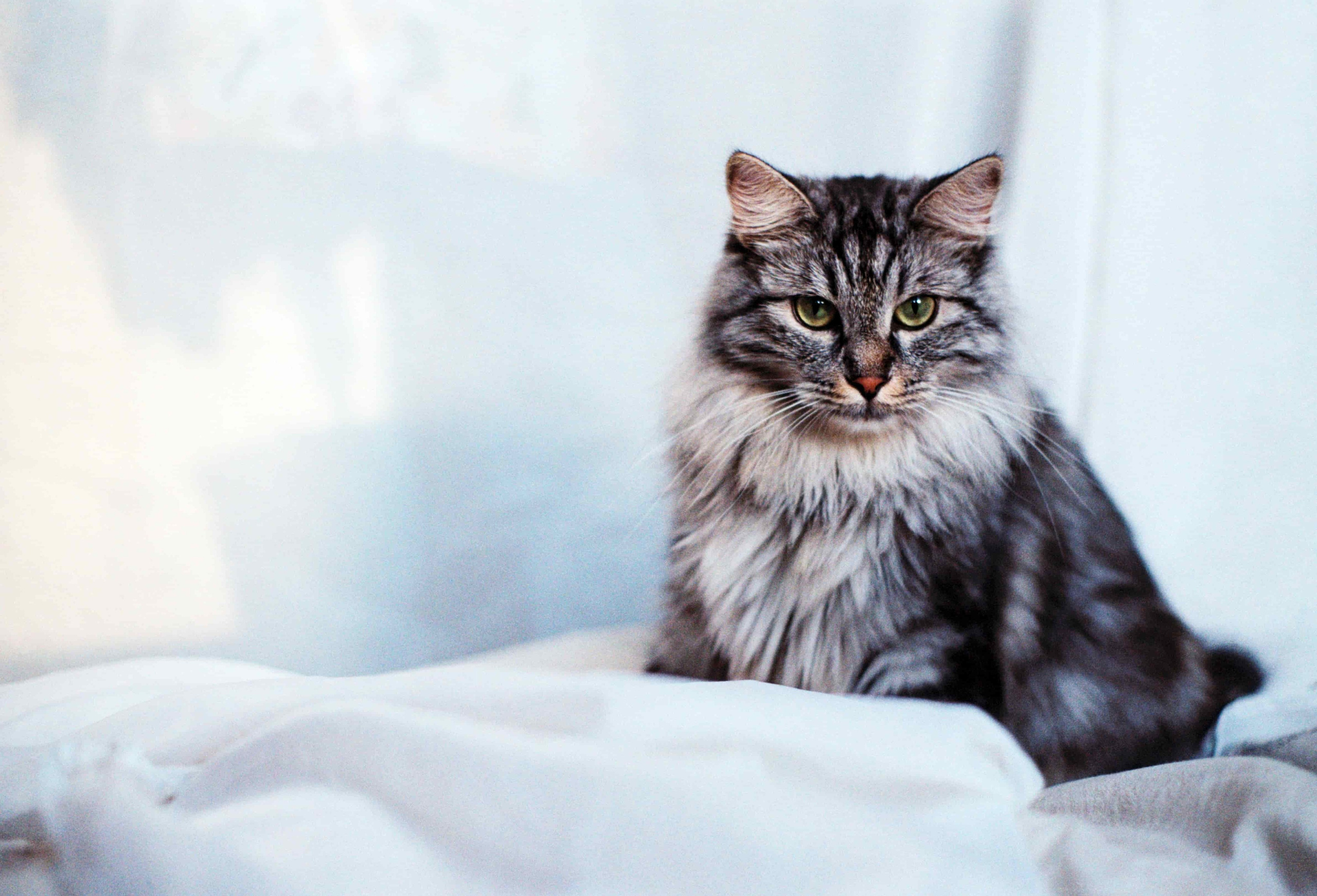 B. Стилист и плёночный фотограф Анастасия Шлокова в Санкт-Петербурге и Москве