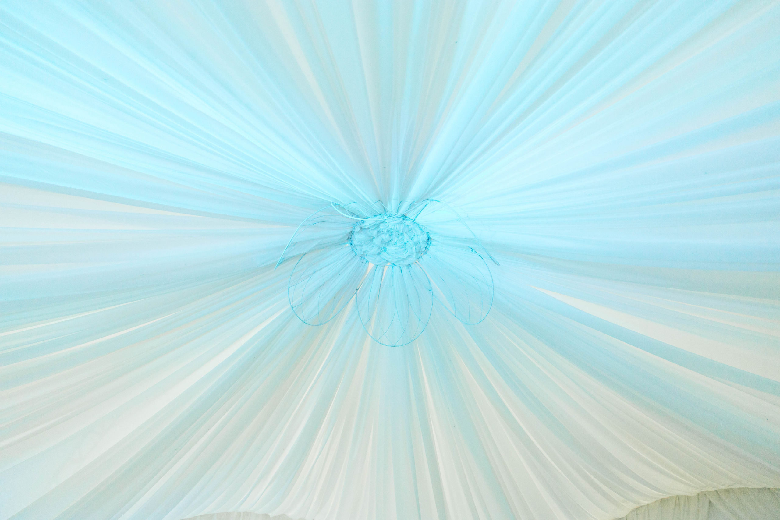 DANIEL & ANNA. Свадебное ФОТО & ВИДЕО Москва/Липецк