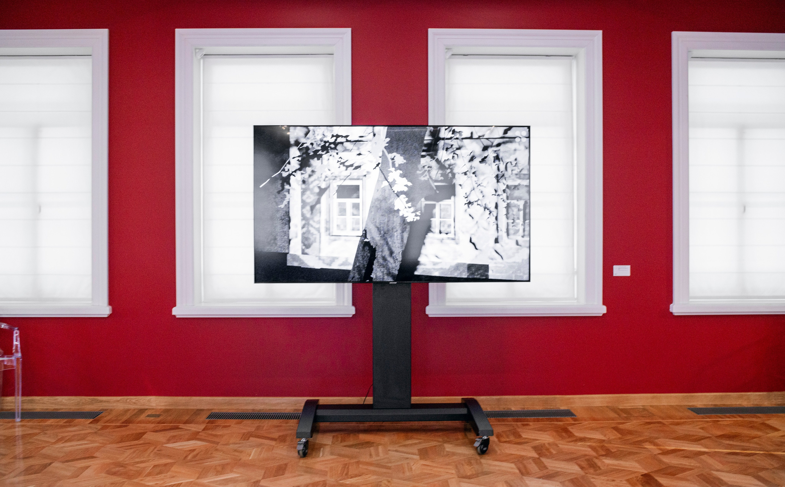 Выставка в доме Третьяковых. Фотограф в Москве Алейникова Евгения