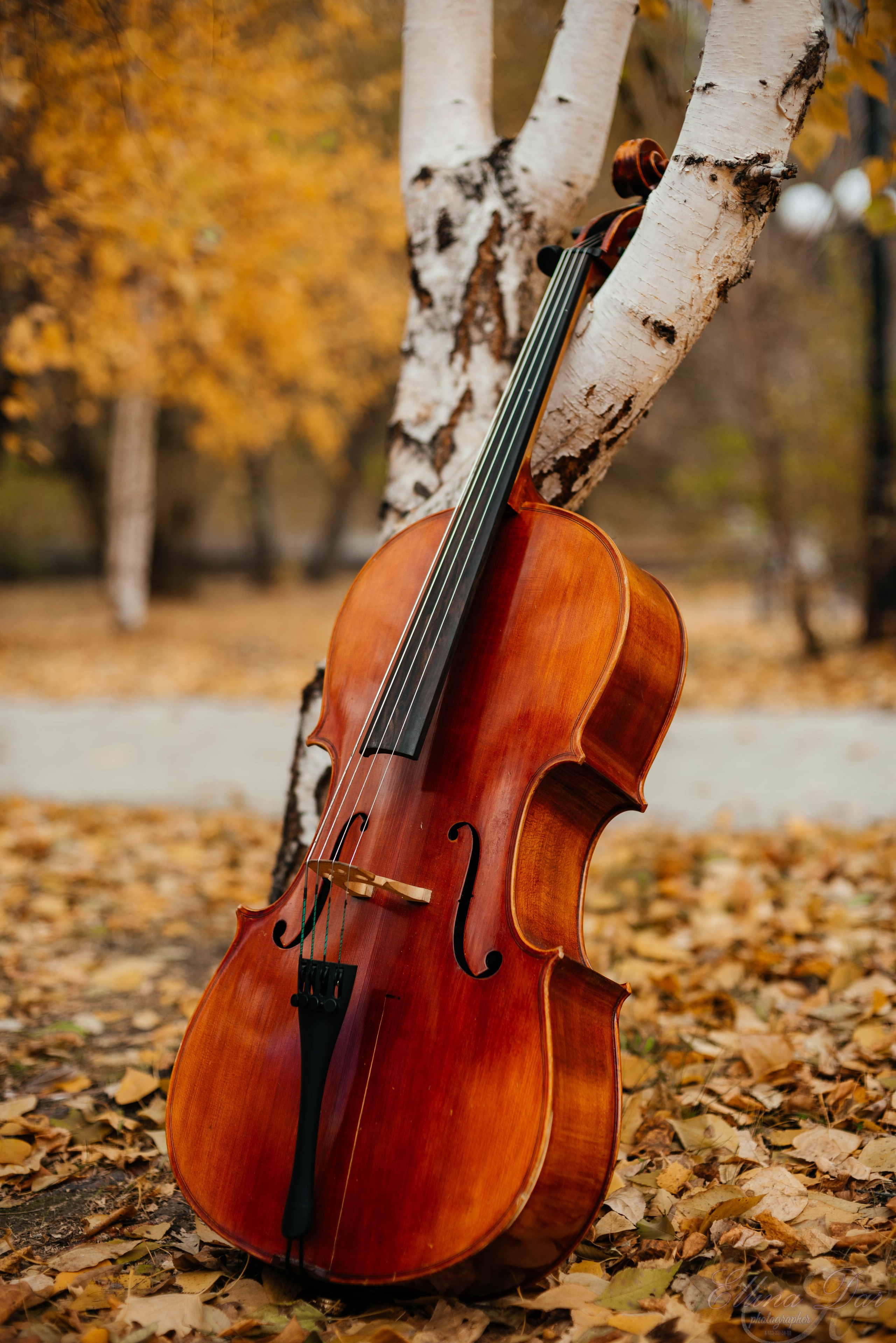 Аюмишка. Фотограф Эллина Дар г. Улан-Удэ