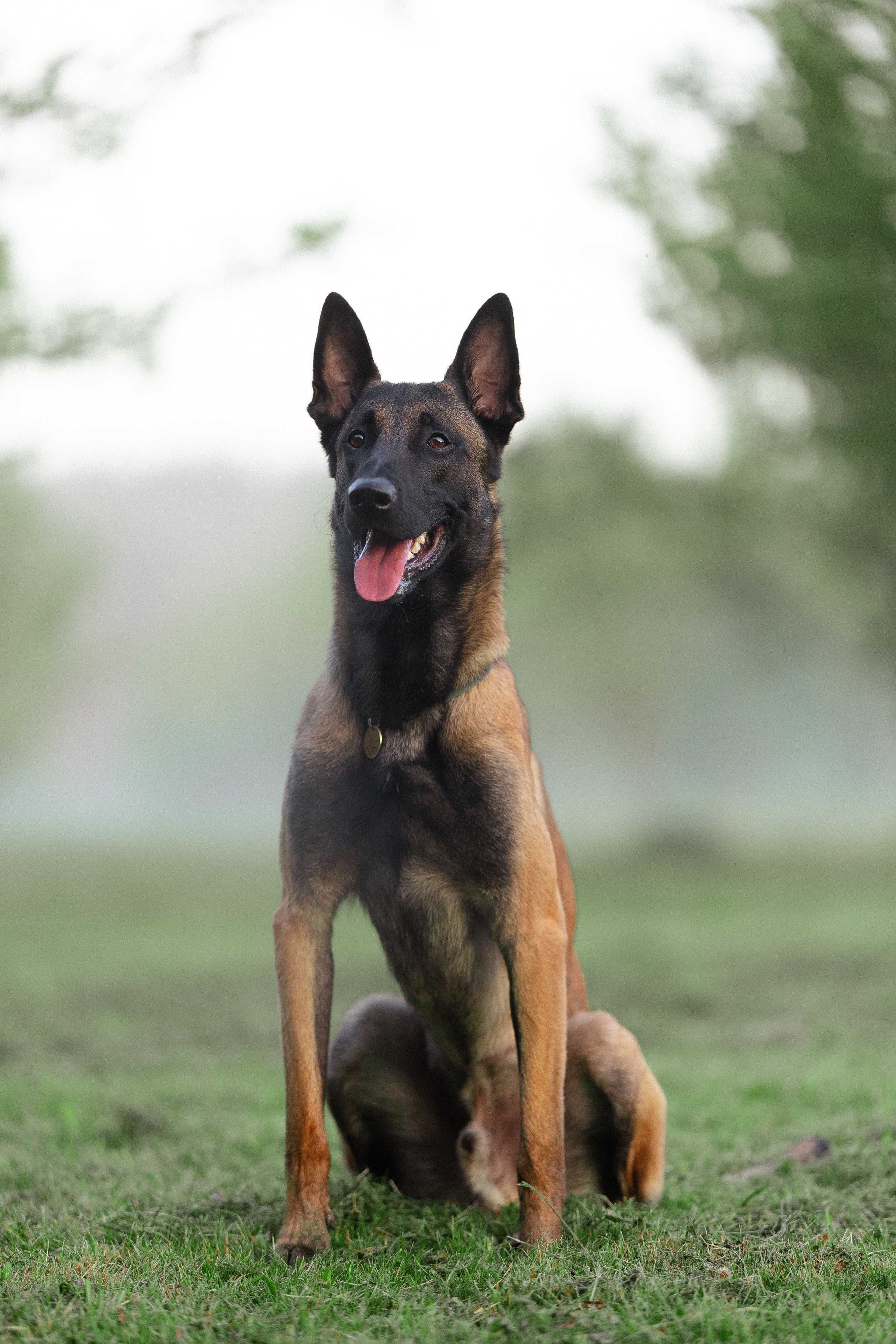 Галина и Кодекс. Фотограф и видеограф анималист Аганина Дарья