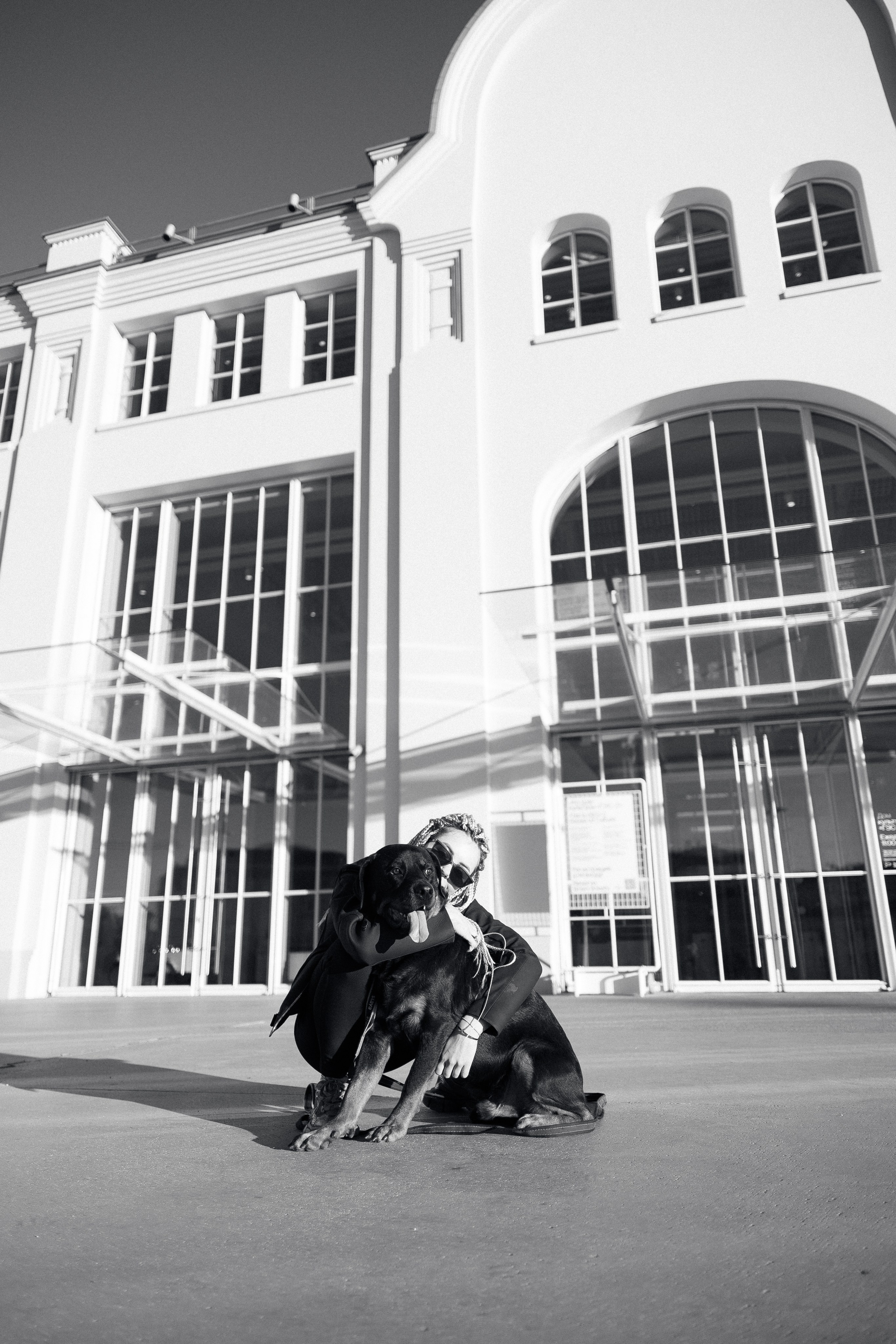 Катя, Леша, Трой и Лея. Фотограф и видеограф анималист Аганина Дарья