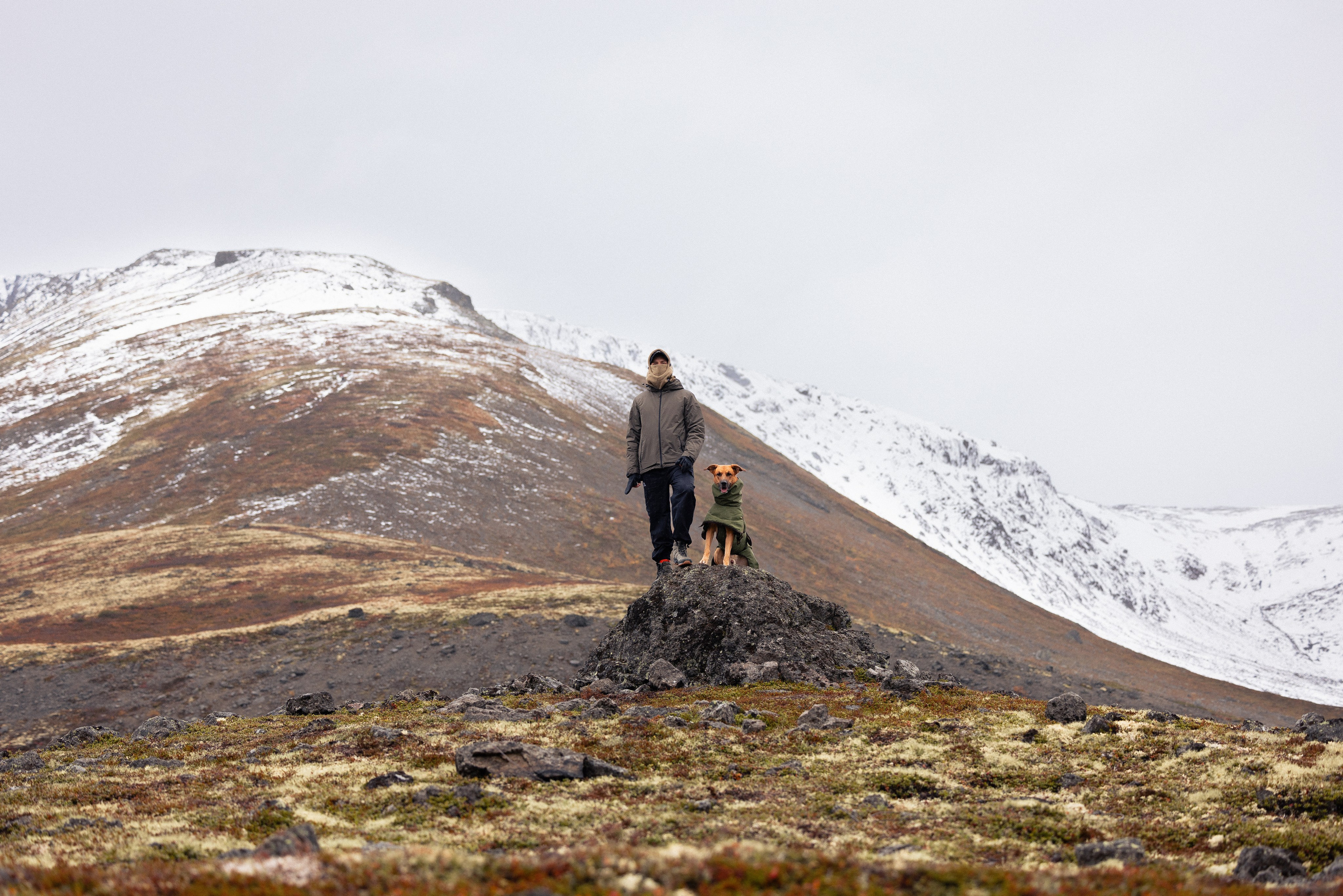 Кольский. Фотограф и видеограф анималист Аганина Дарья
