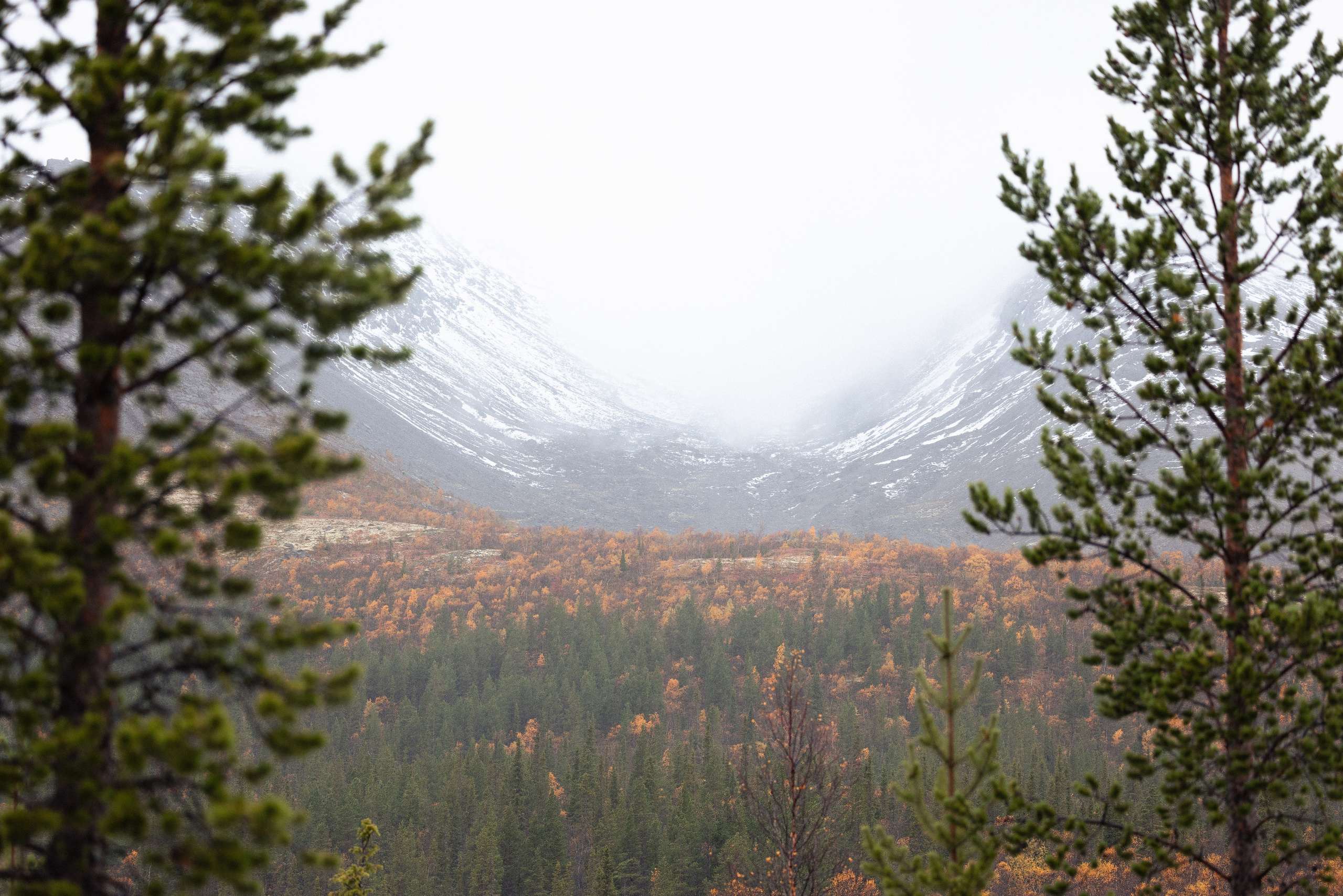 Кольский. Фотограф и видеограф анималист Аганина Дарья