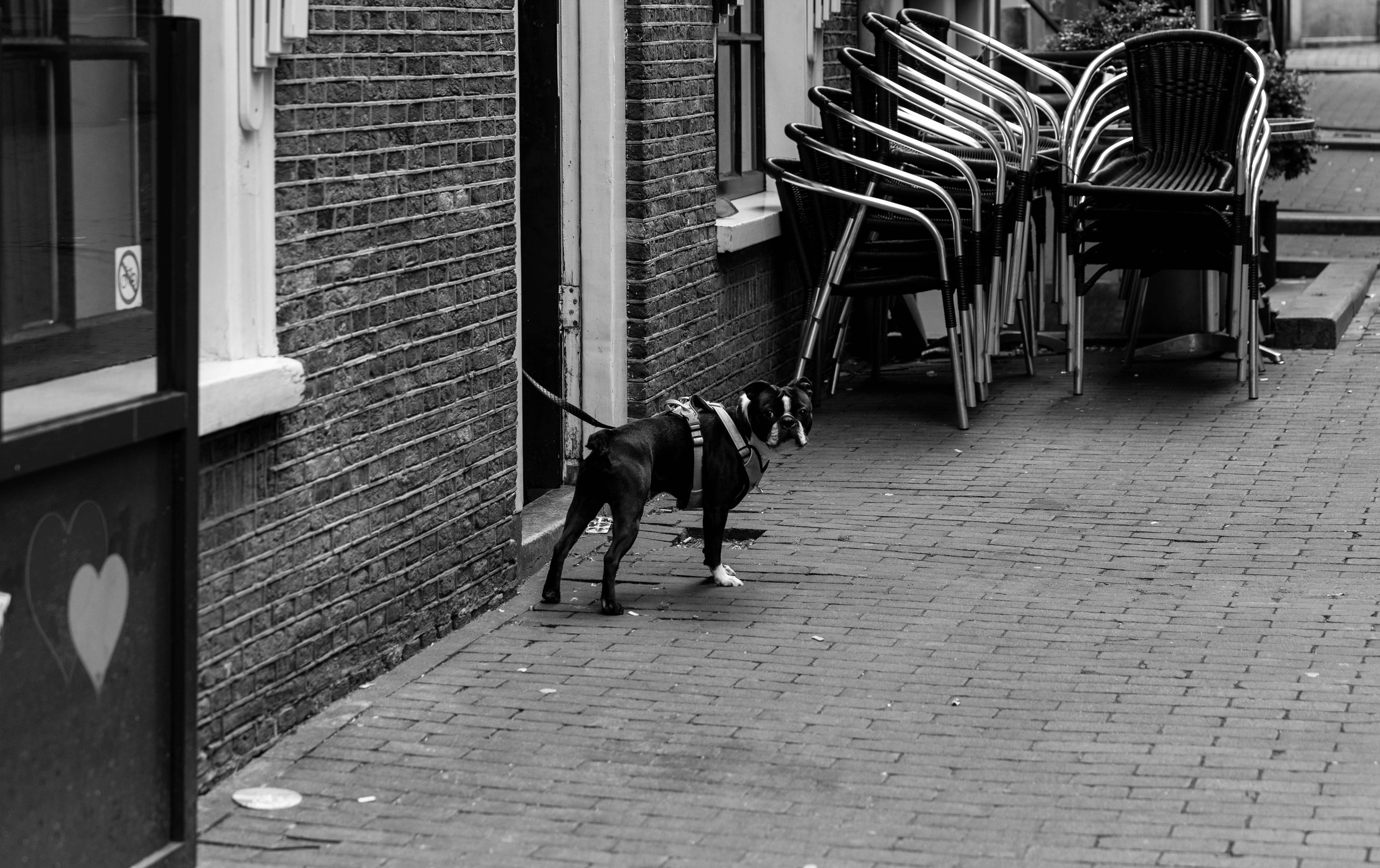 Netherlands, Amsterdam. Воройская Анна