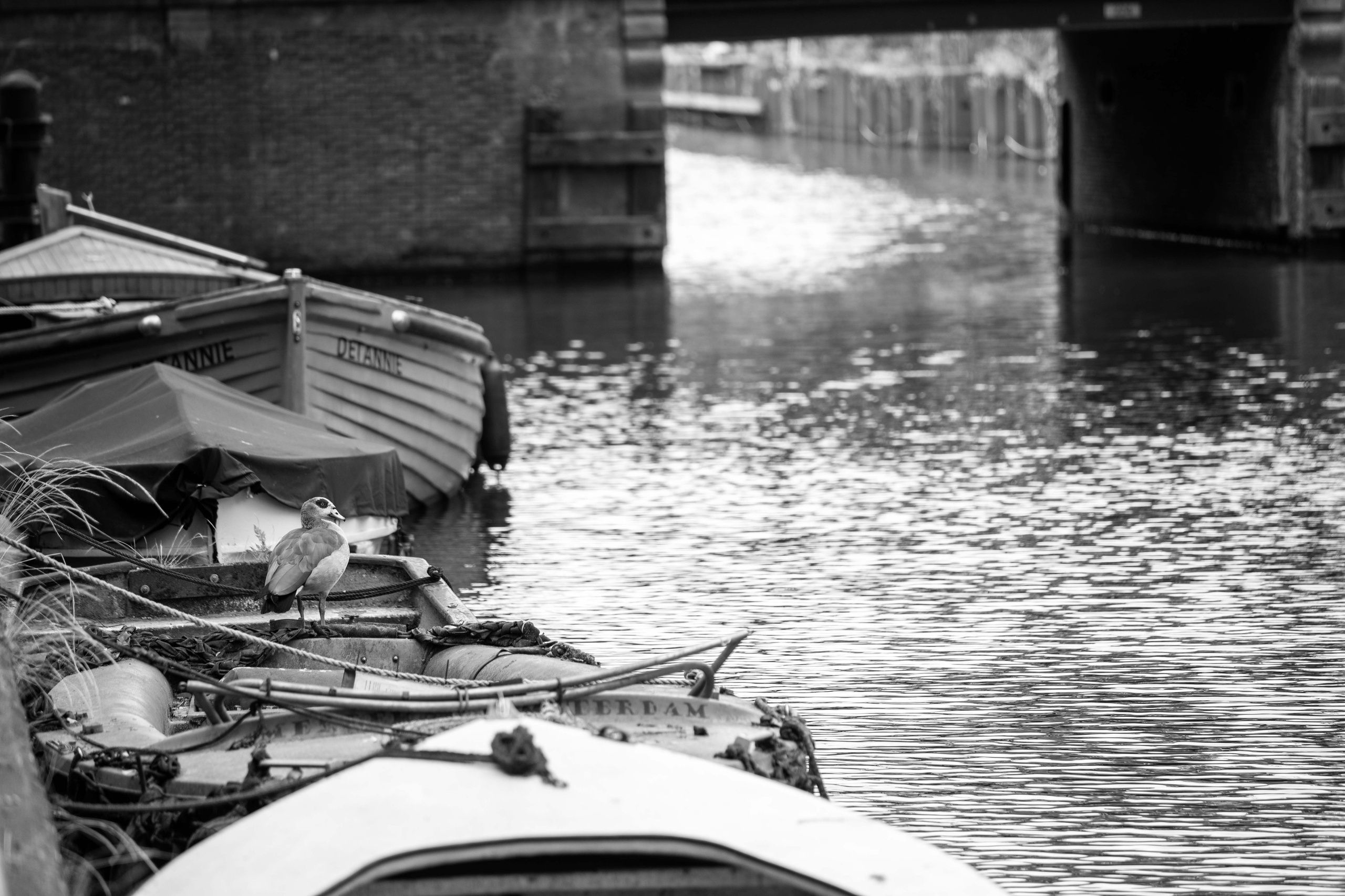 Netherlands, Amsterdam. Воройская Анна