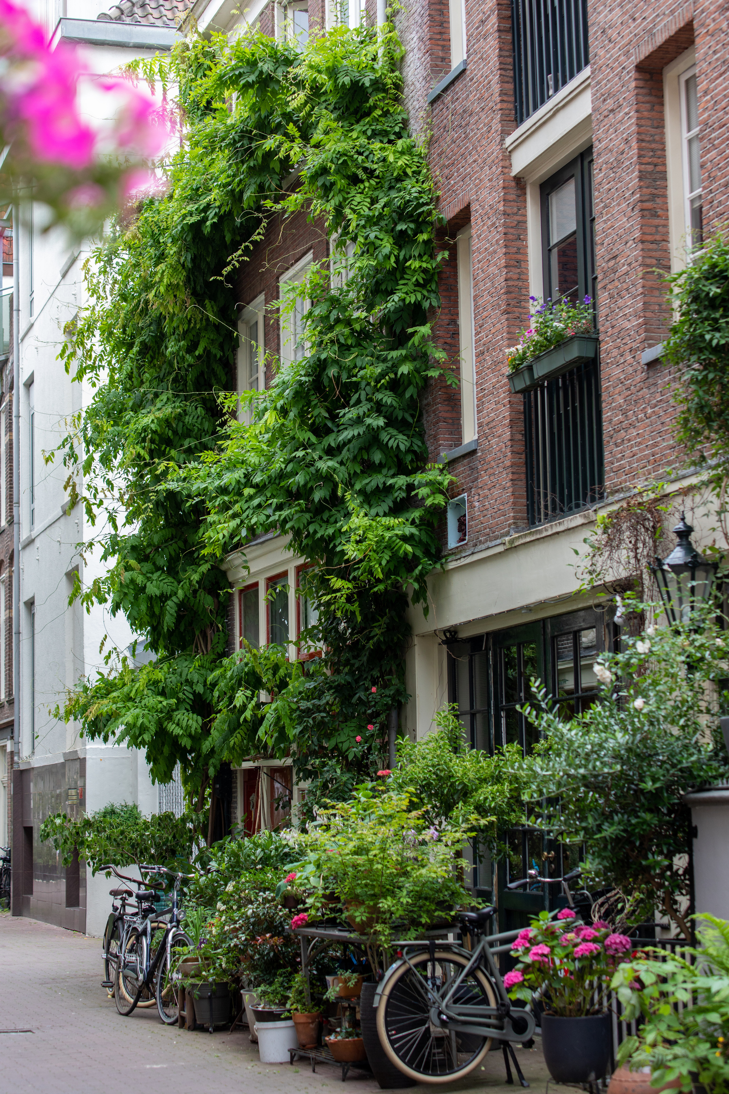 Netherlands, Amsterdam. Воройская Анна