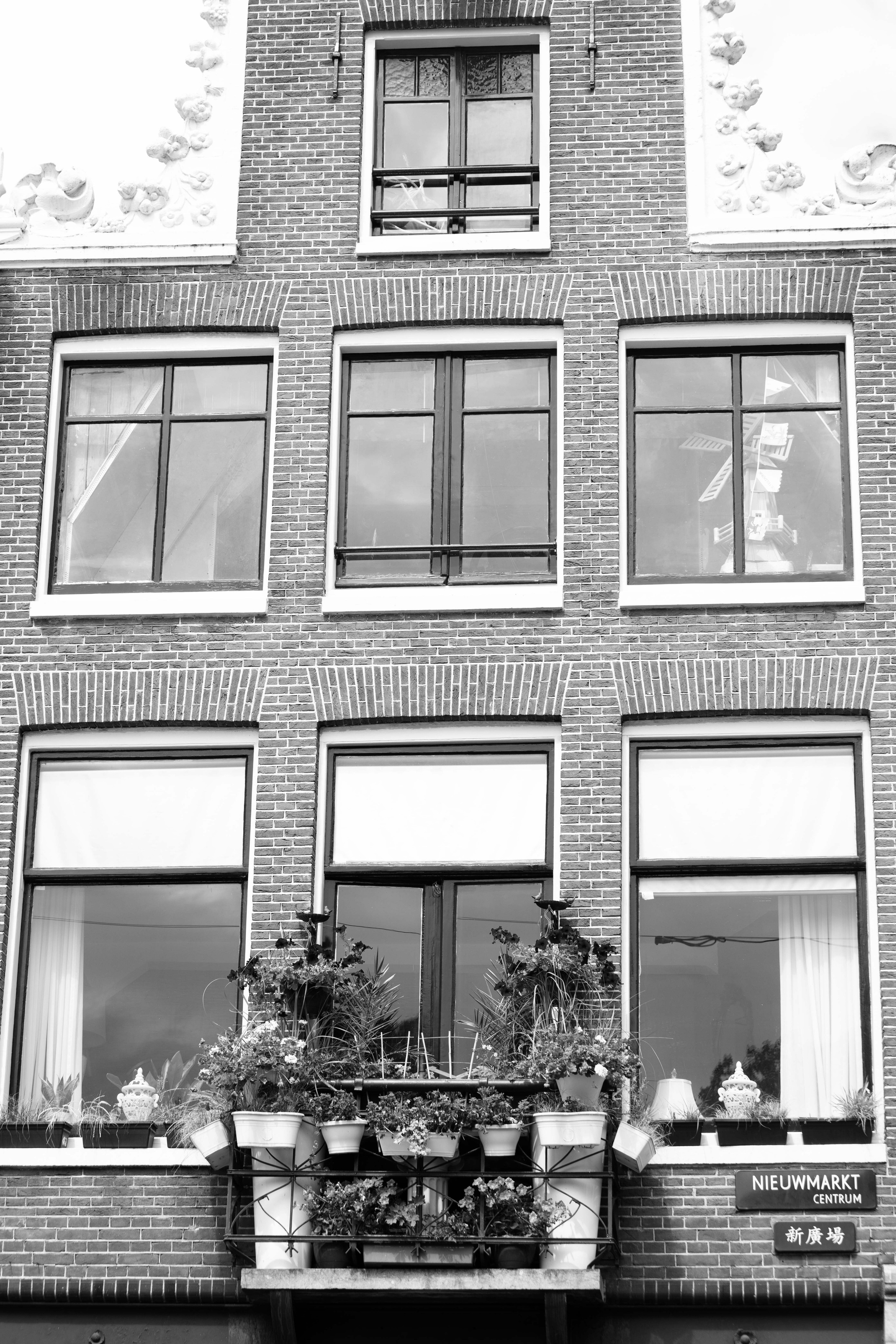 Netherlands, Amsterdam. Воройская Анна