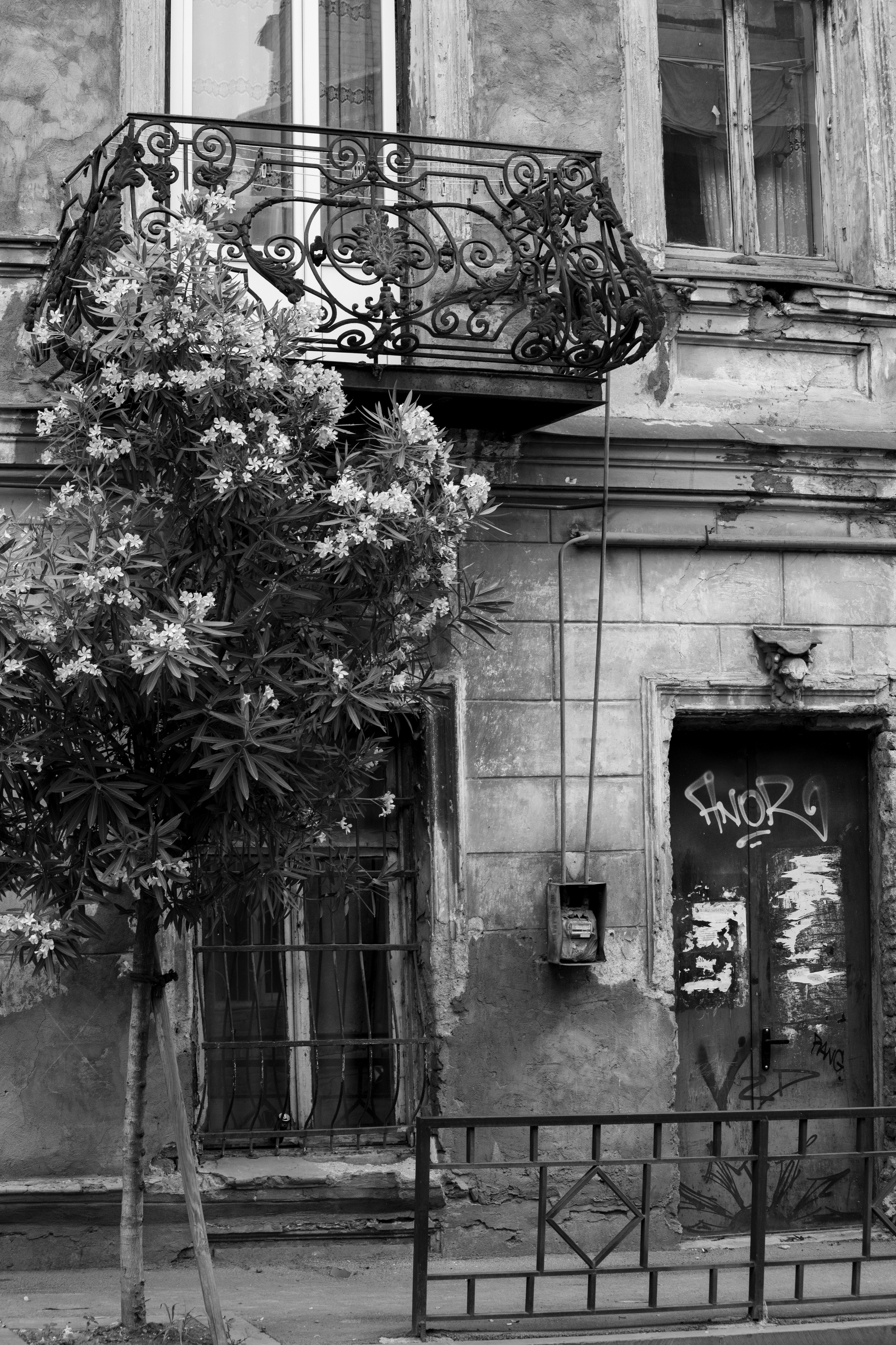 Georgia, Tbilisi. Воройская Анна