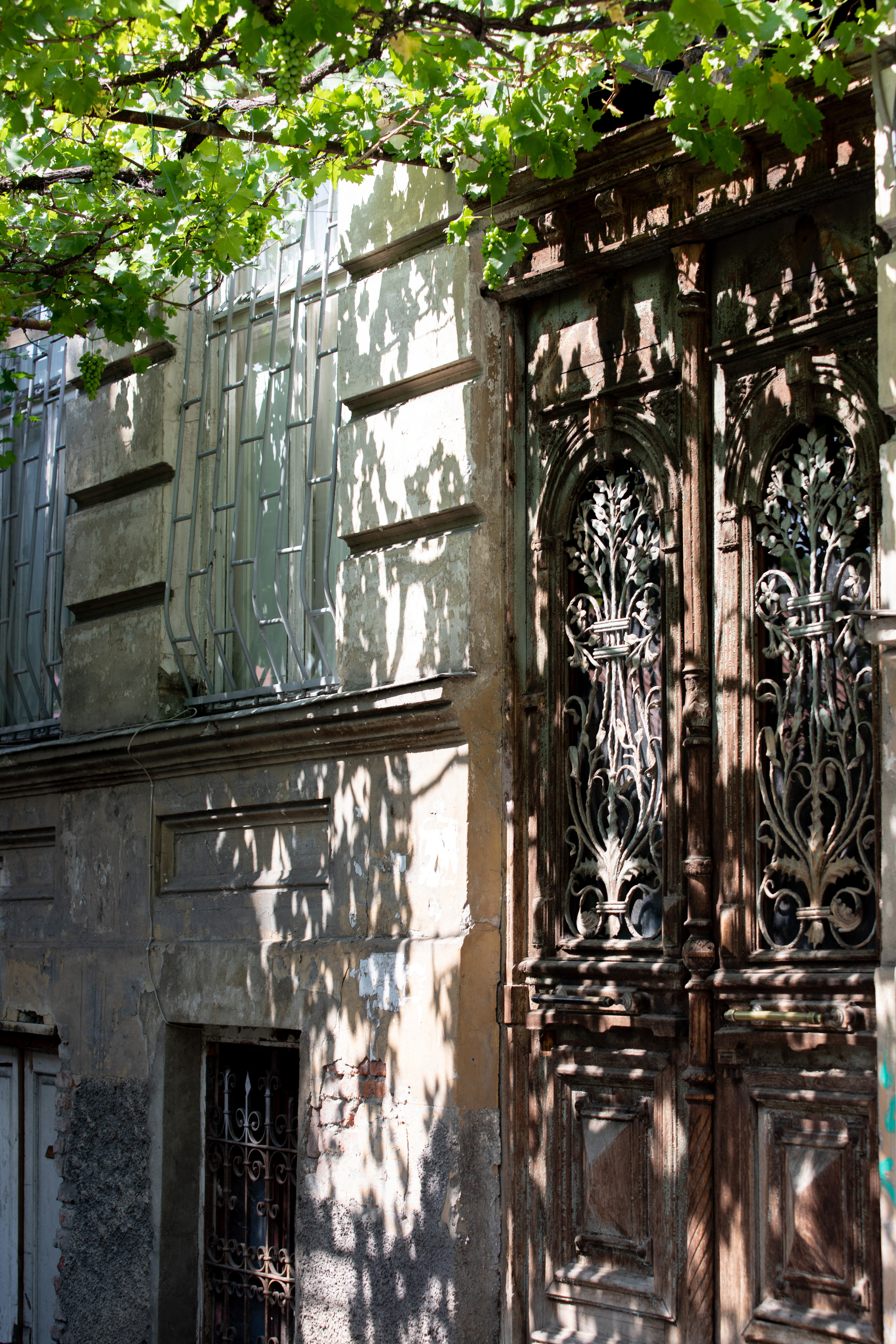 Georgia, Tbilisi. Воройская Анна