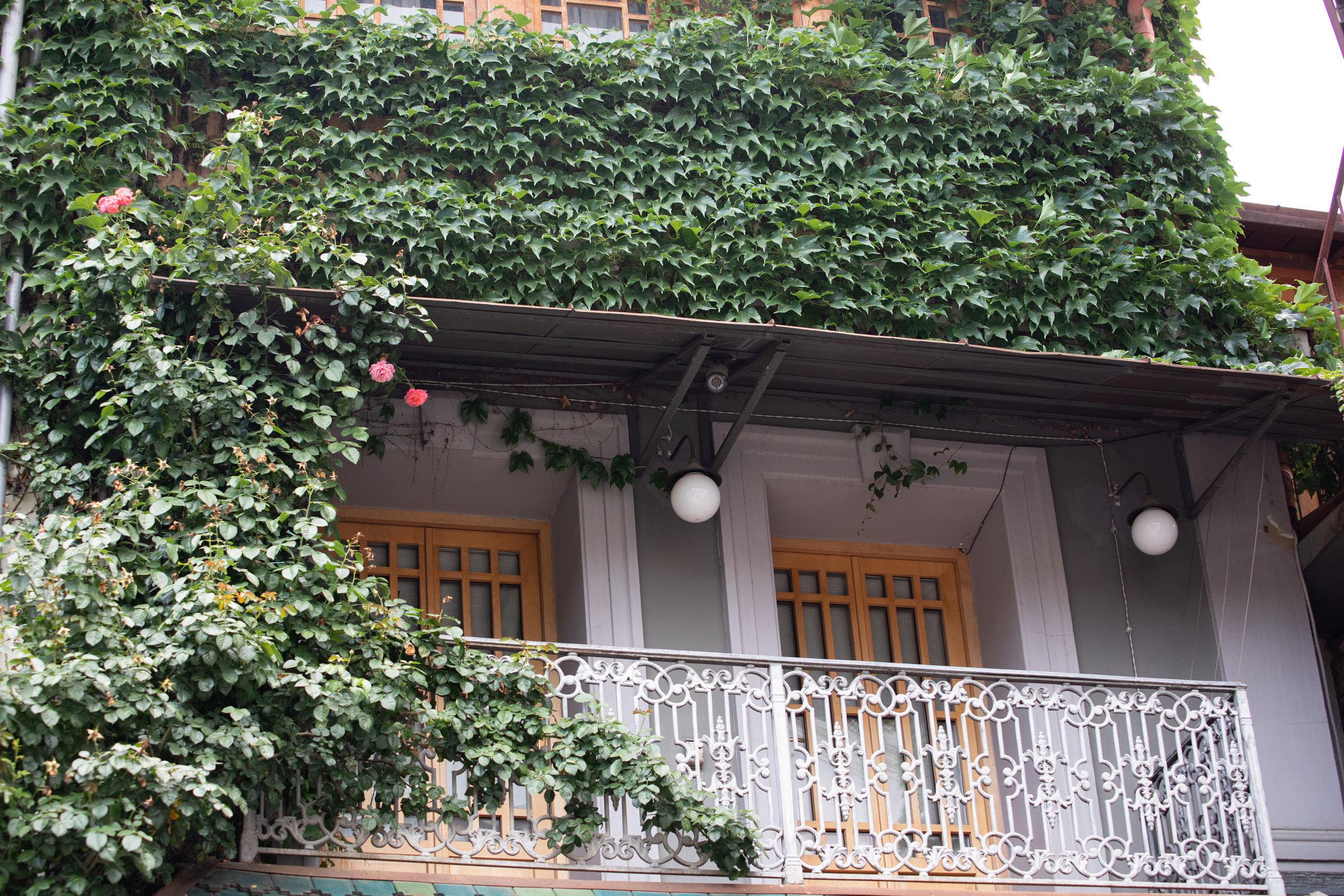 Georgia, Tbilisi. Воройская Анна