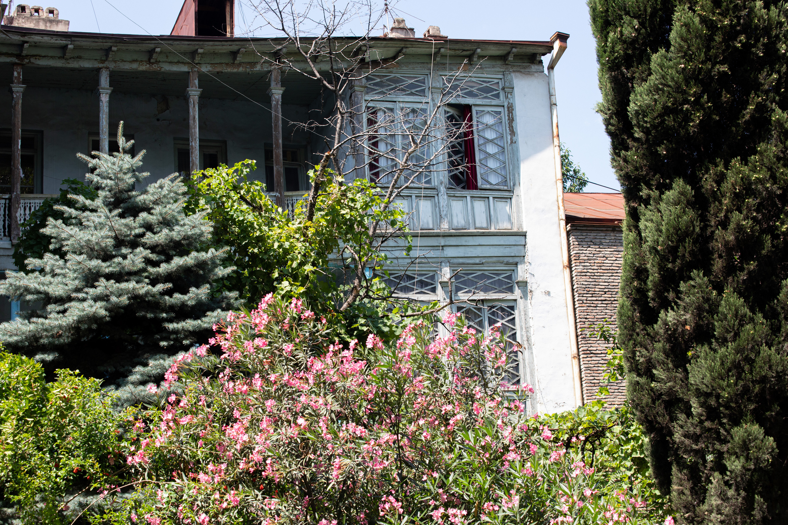 Georgia, Tbilisi. Воройская Анна