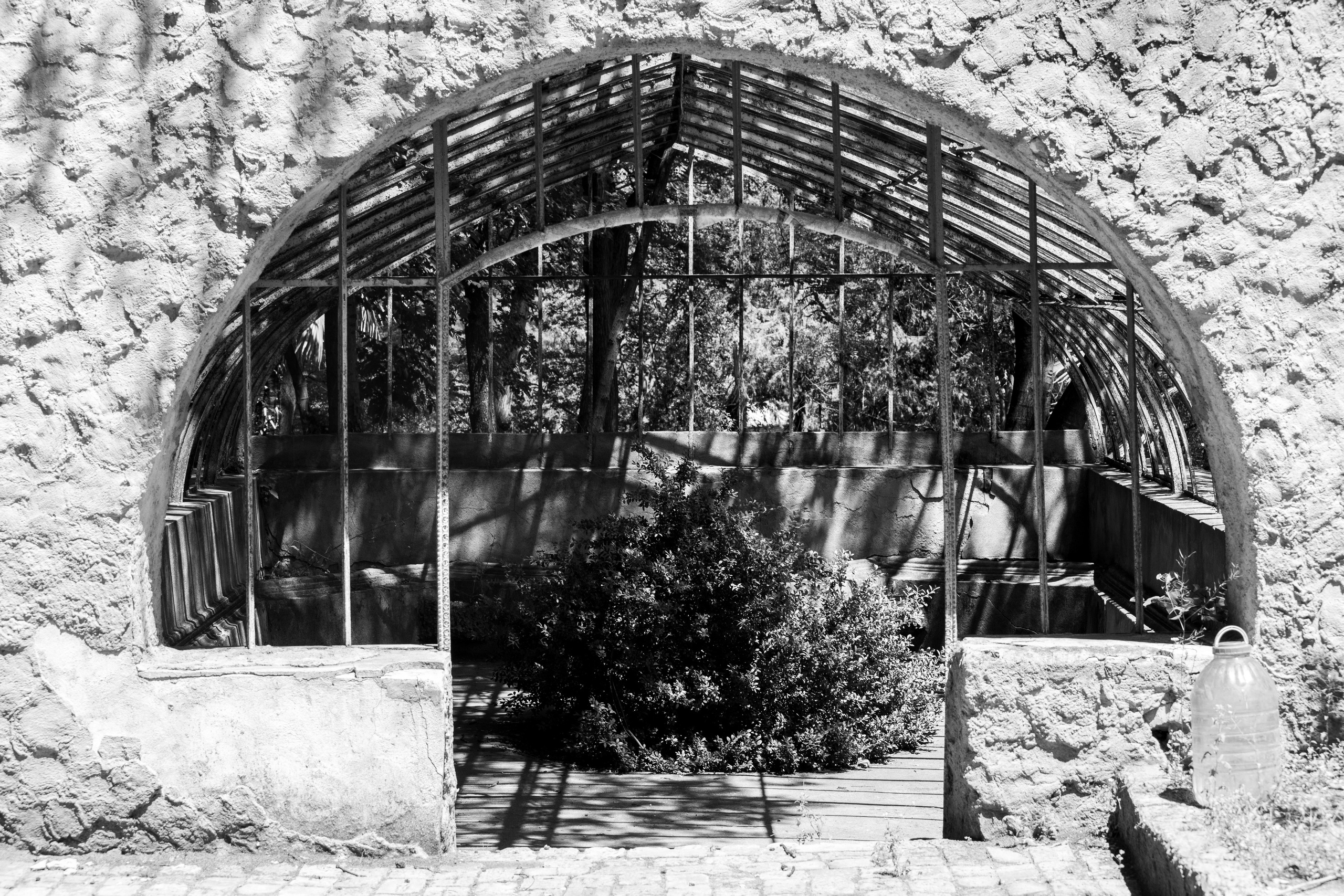 Georgia, Tbilisi. Воройская Анна