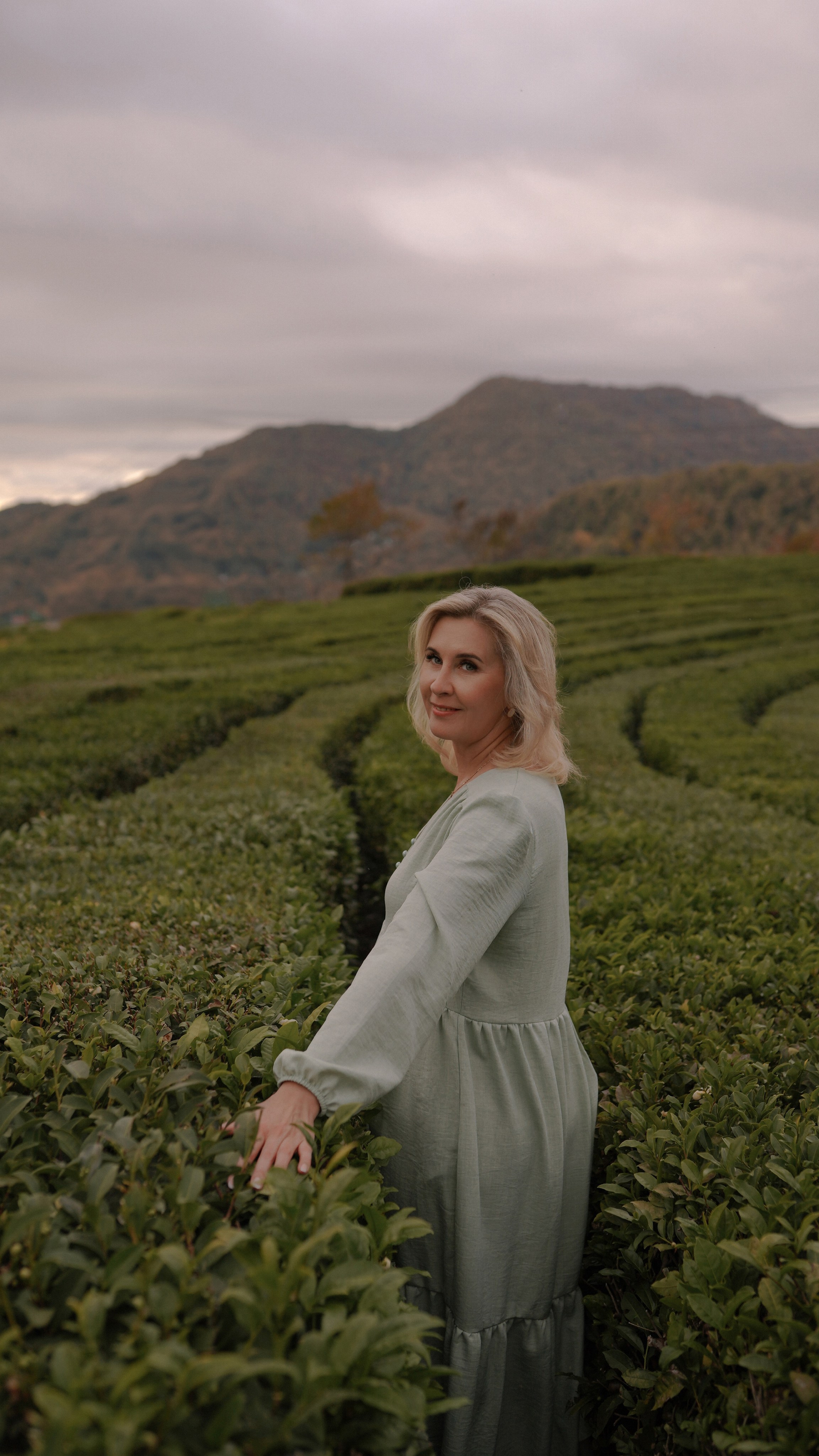 Чайные плантации. Милана Довгаль - семейный фотограф и видеограф  в Адлере и Сочи