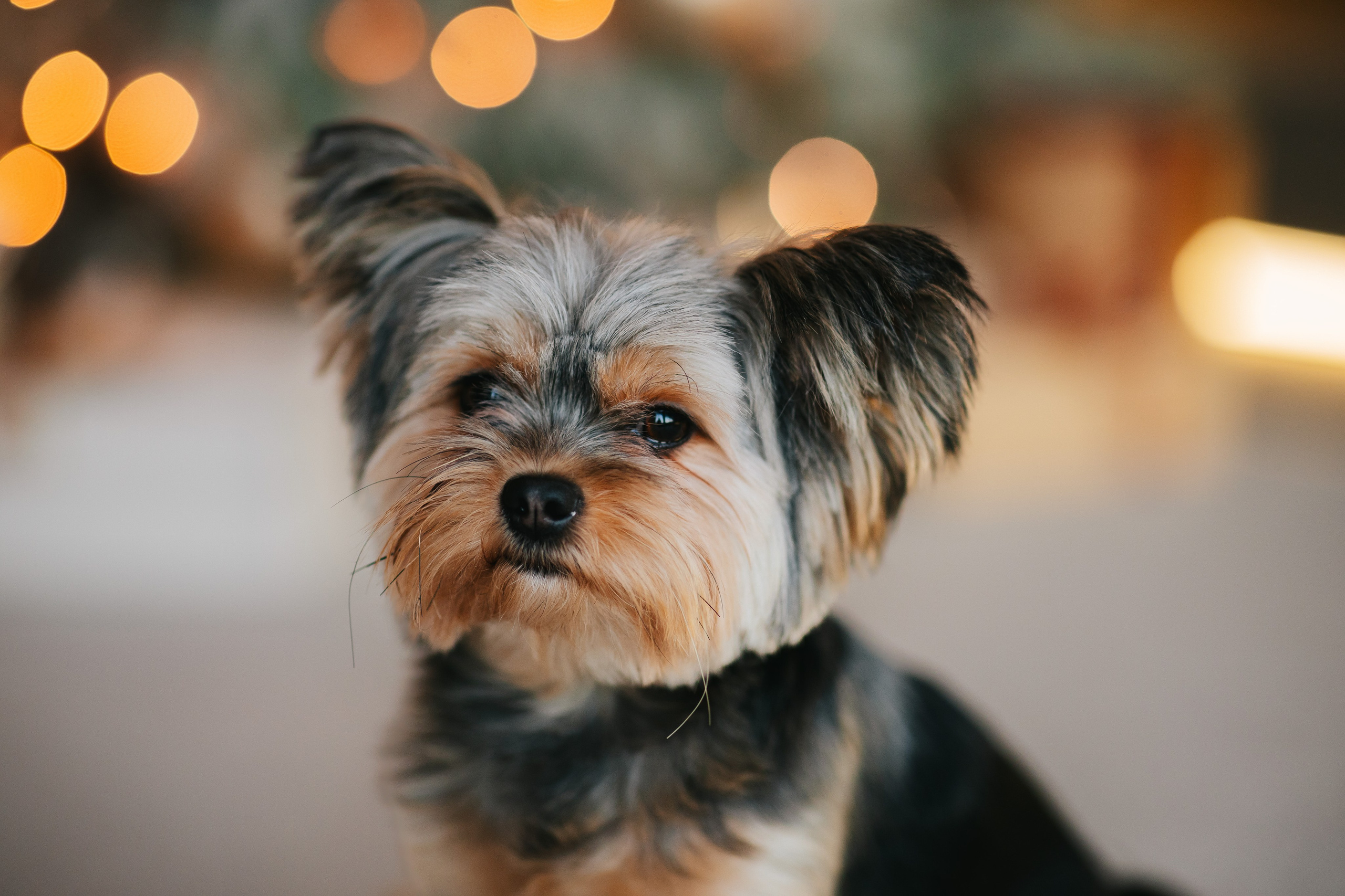 Артур, Оля и Серёжа. Семейный lifestyle фотограф в Санкт-Петербурге Людмила Пахомова