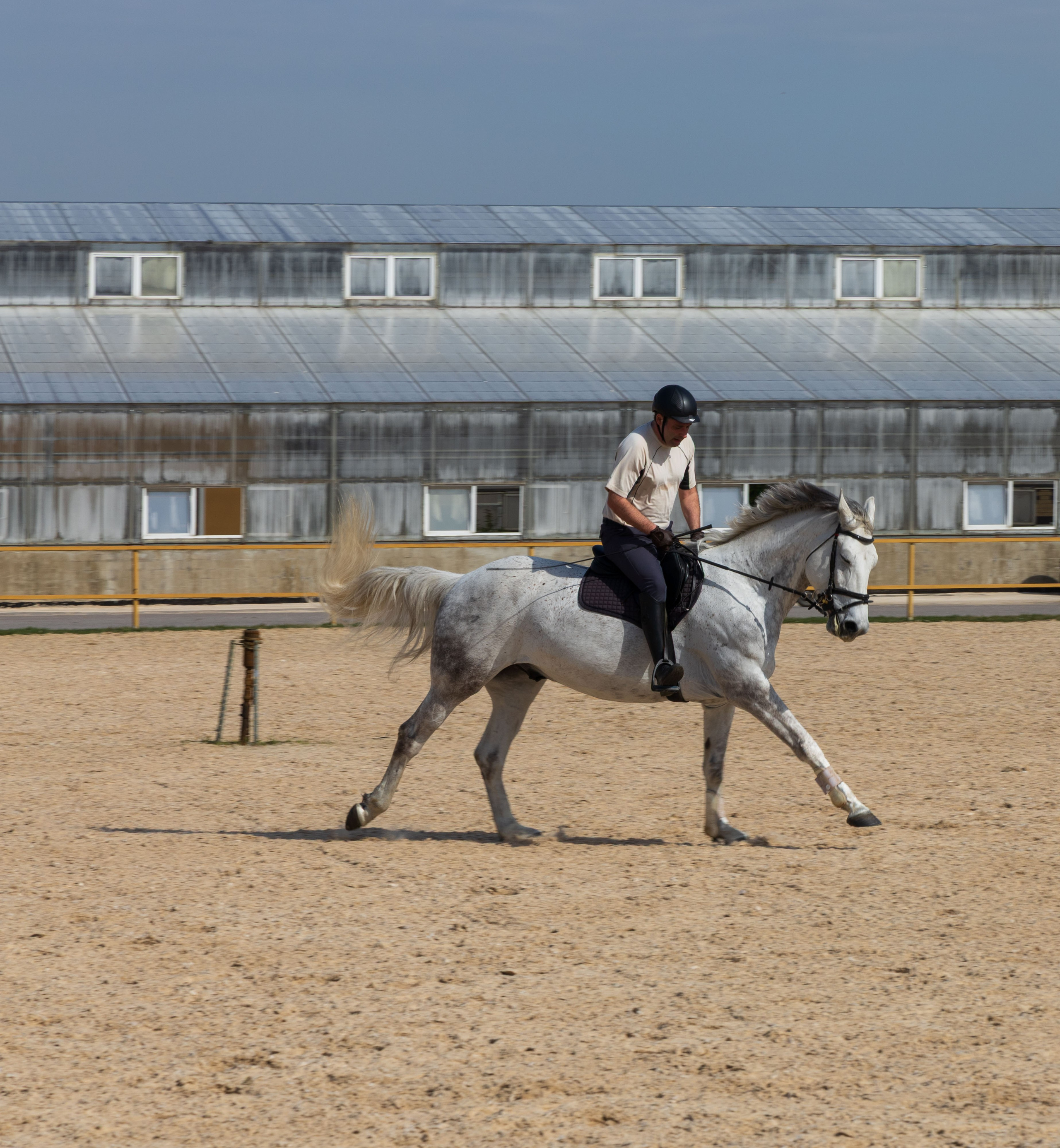 Репортаж.Конная тренировка. Портретный и семейный фотограф Санкт-Петербург