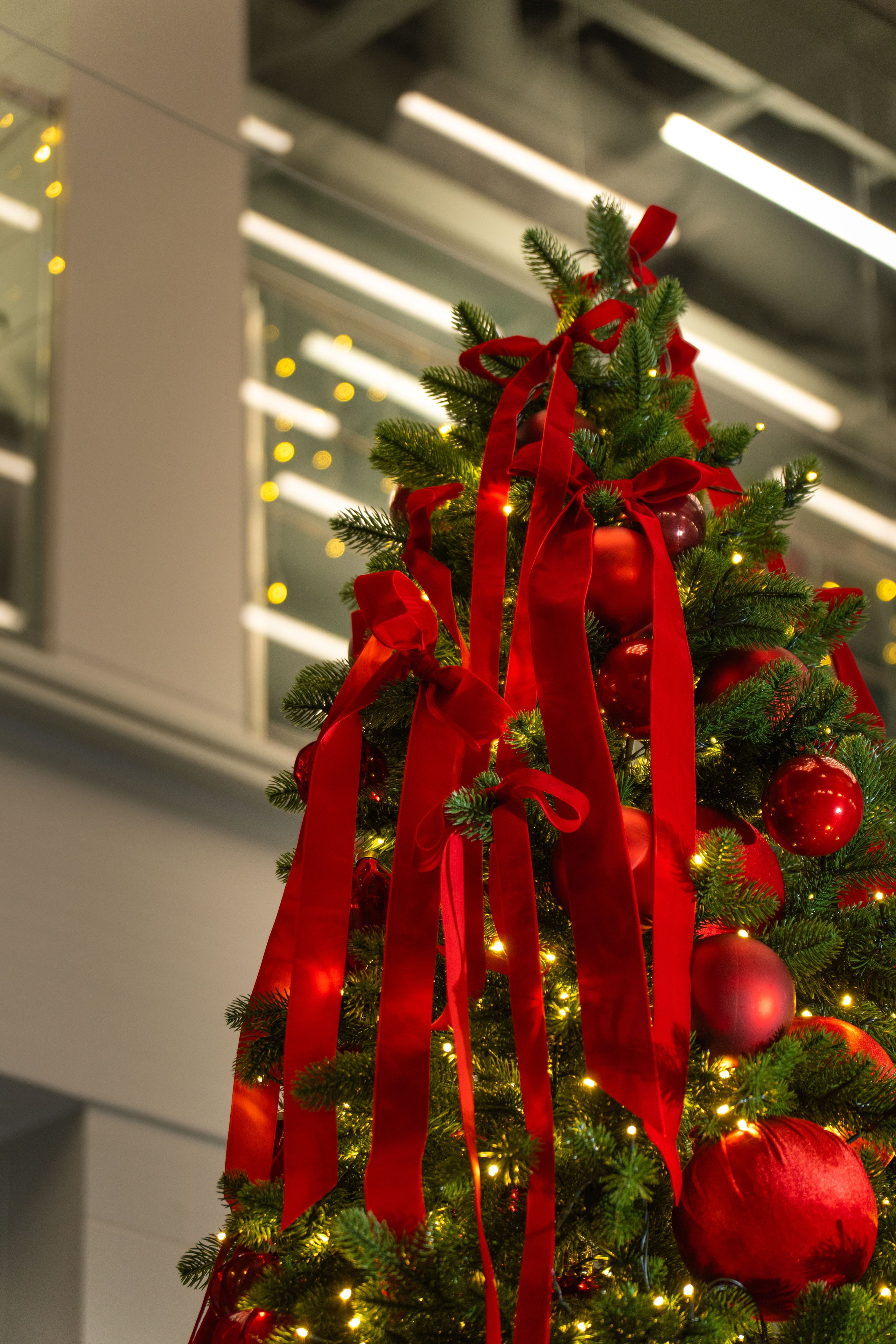 Декор РЖД. Фото и видео съёмка в Москве и МО Александр Чапала и Трояк Алеся