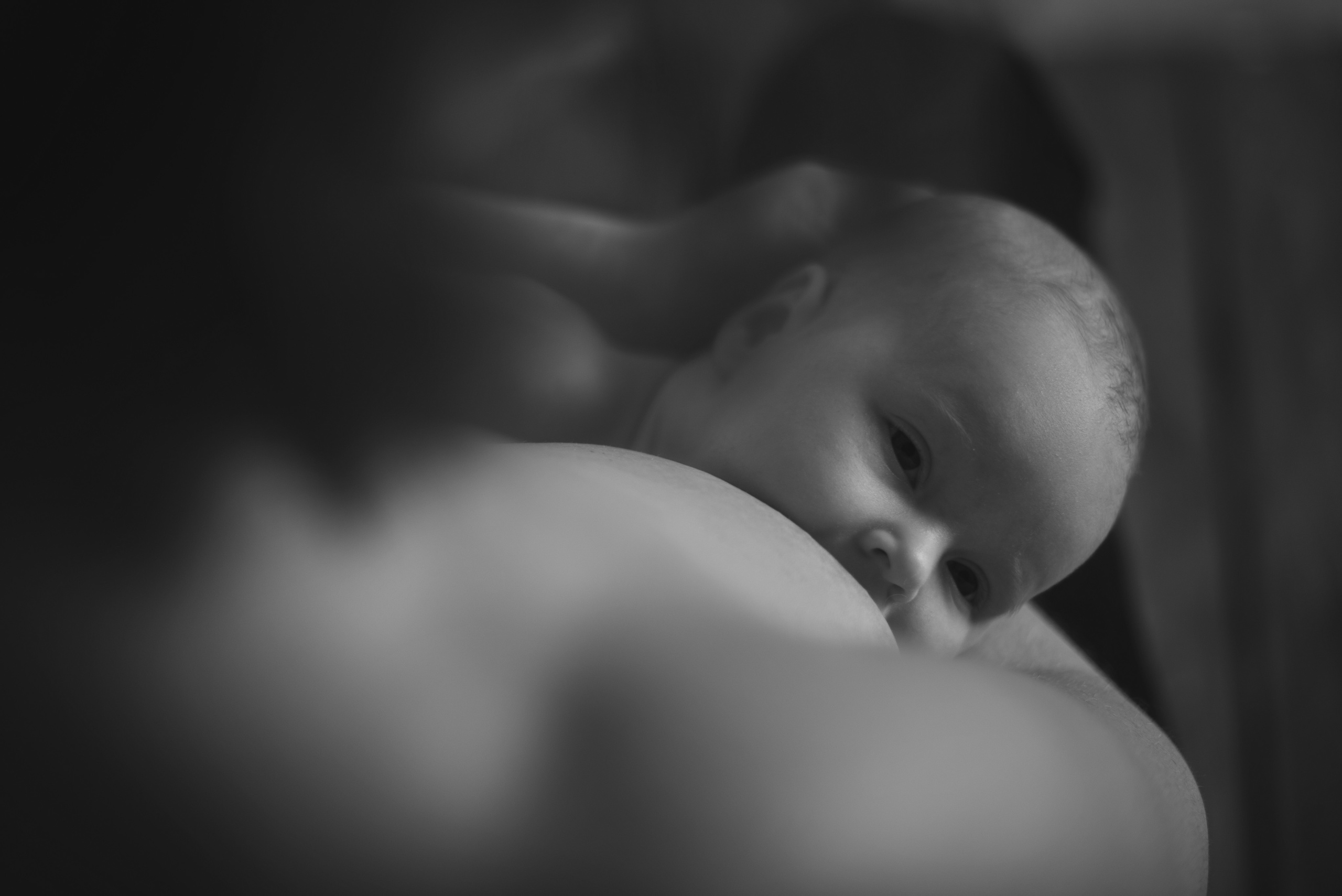 Малыши до года. Фотограф Новорожденных во Владивостоке Ольга Галаницкая