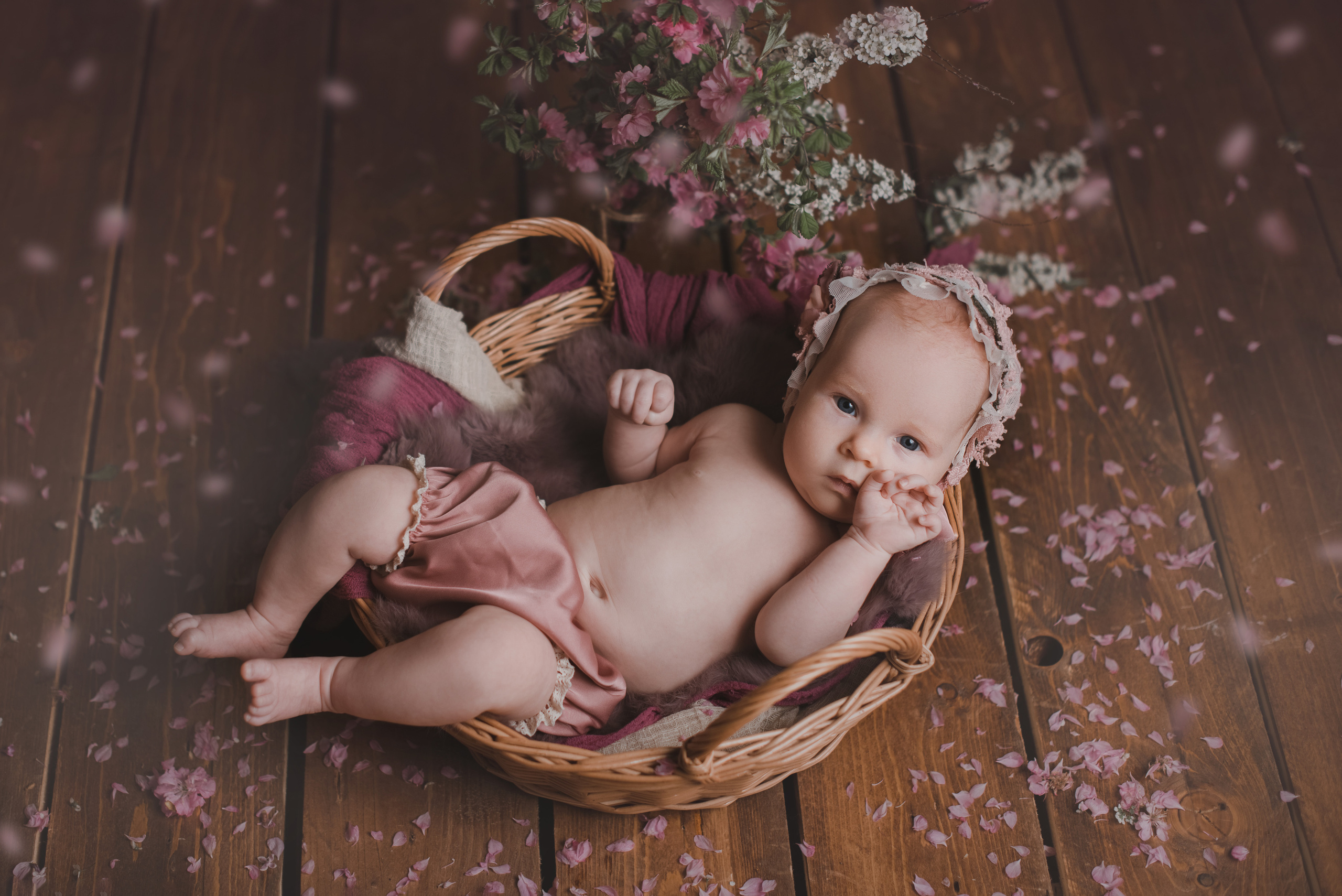 Малыши до года. Фотограф Новорожденных во Владивостоке Ольга Галаницкая