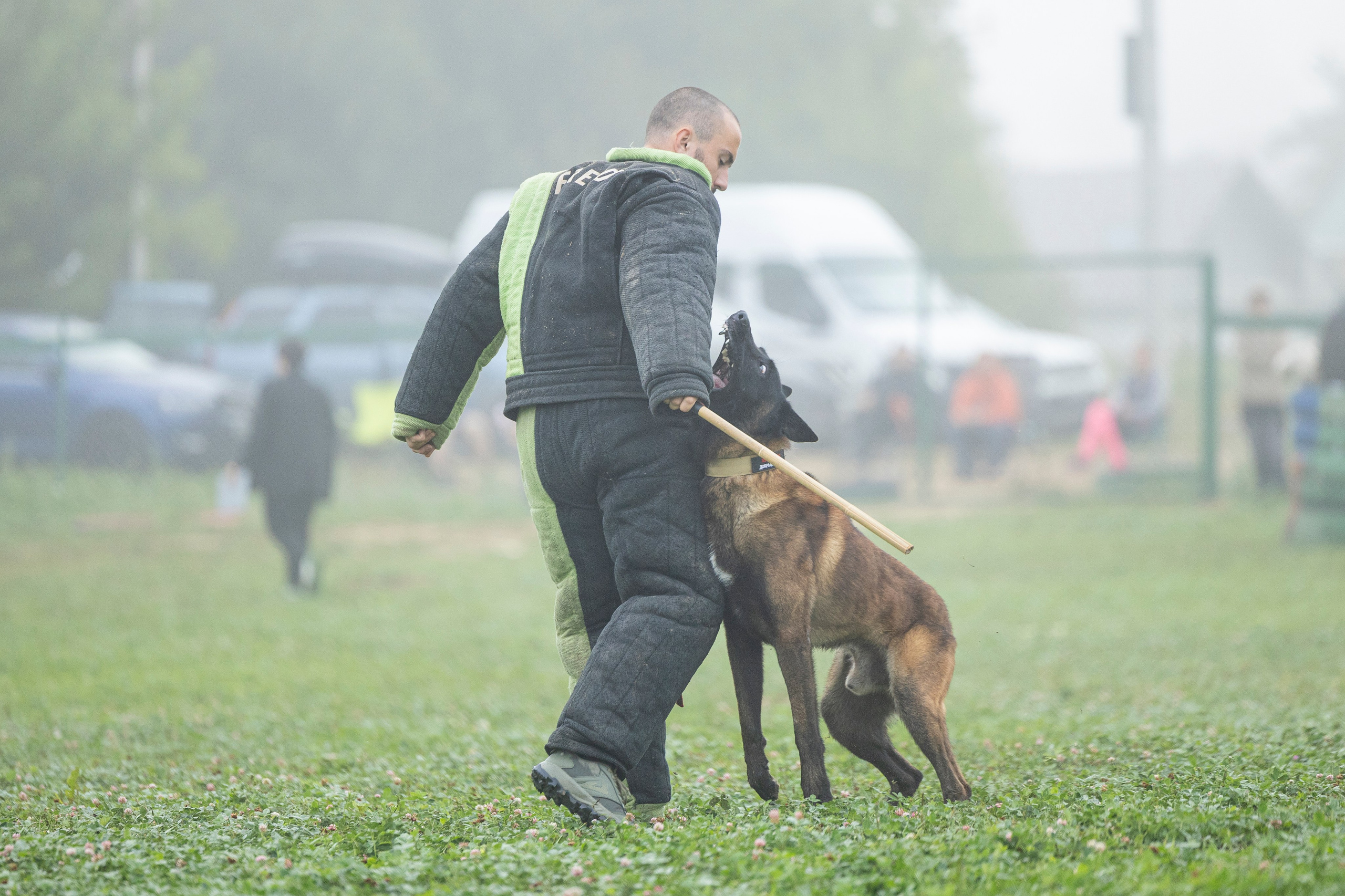 Соревнования по Мондьорингу г. Вологда 10-11.08.2024. Фотограф-анималист Анна Маринич