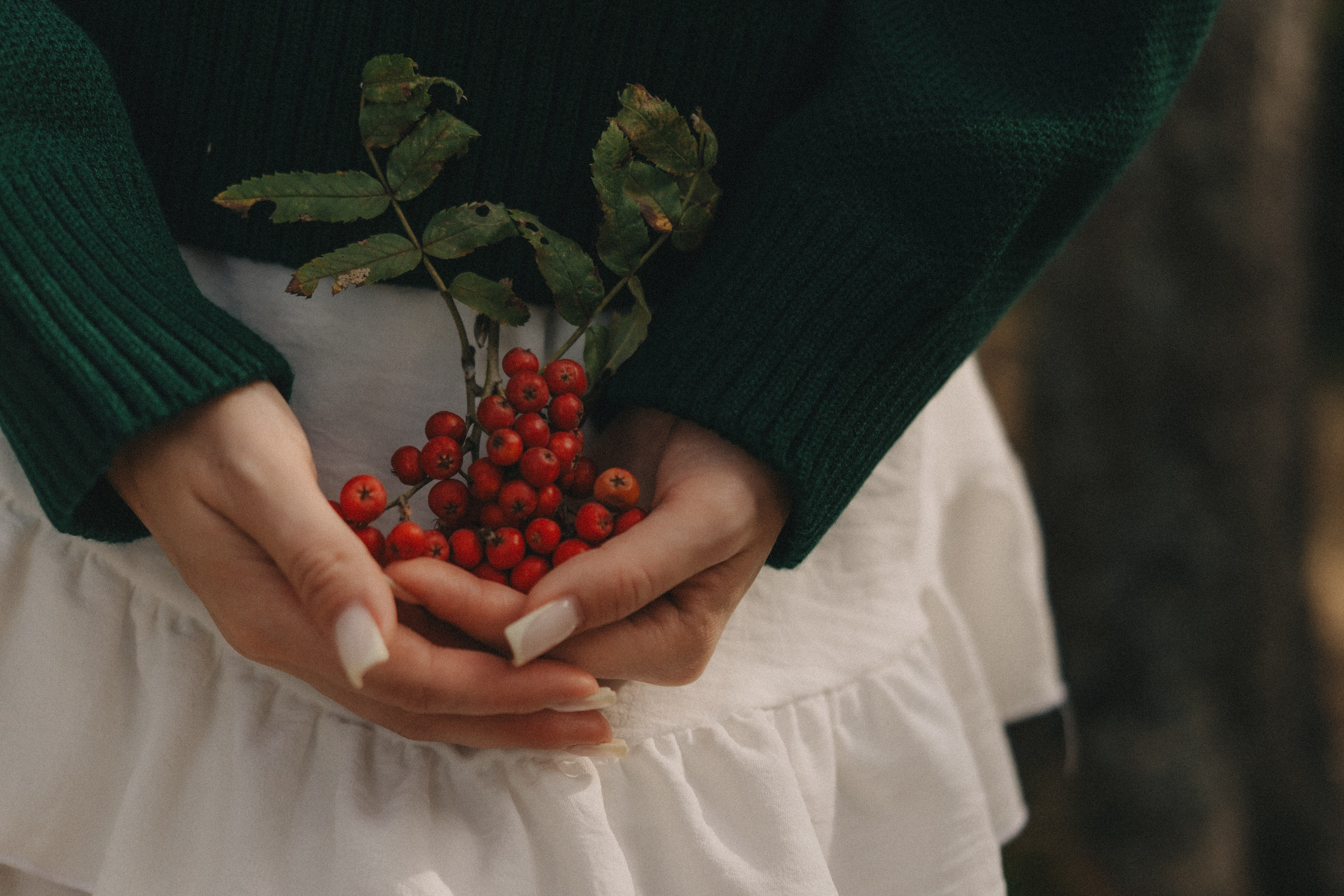 Алена | фотосессия в бору у Волги. Портретный фотограф Москва