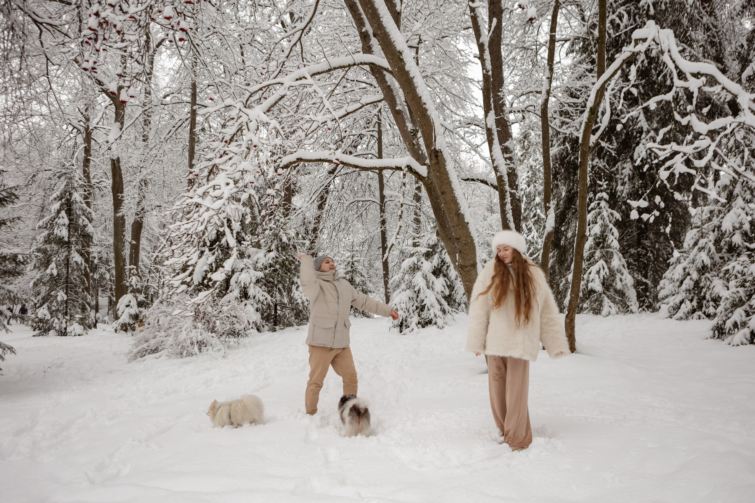 Новогодняя фотосессия с собачками в шуваловском парке. Свадебный фотограф в СПБ | Санкт-Петербурге Анастасия Рахимгулова