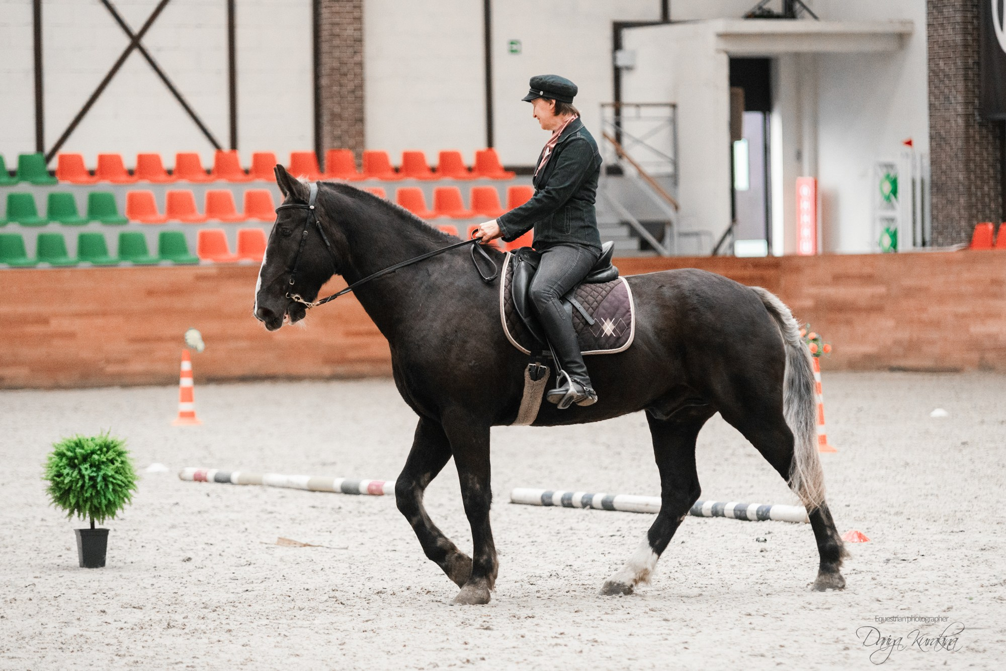 8-я международная выставка Конная Россия. Конный фотограф Куракина Дарья • Фотосессии с лошадьми