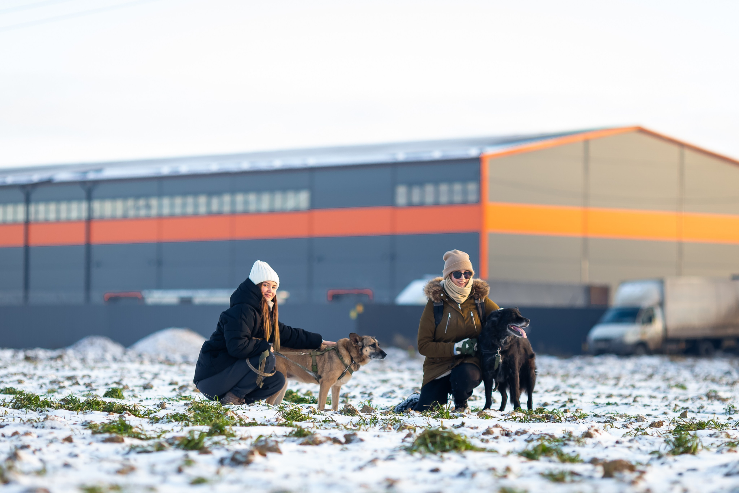 Petshop Забота. Фотограф в Санкт-Петербурге Чумаков Семен