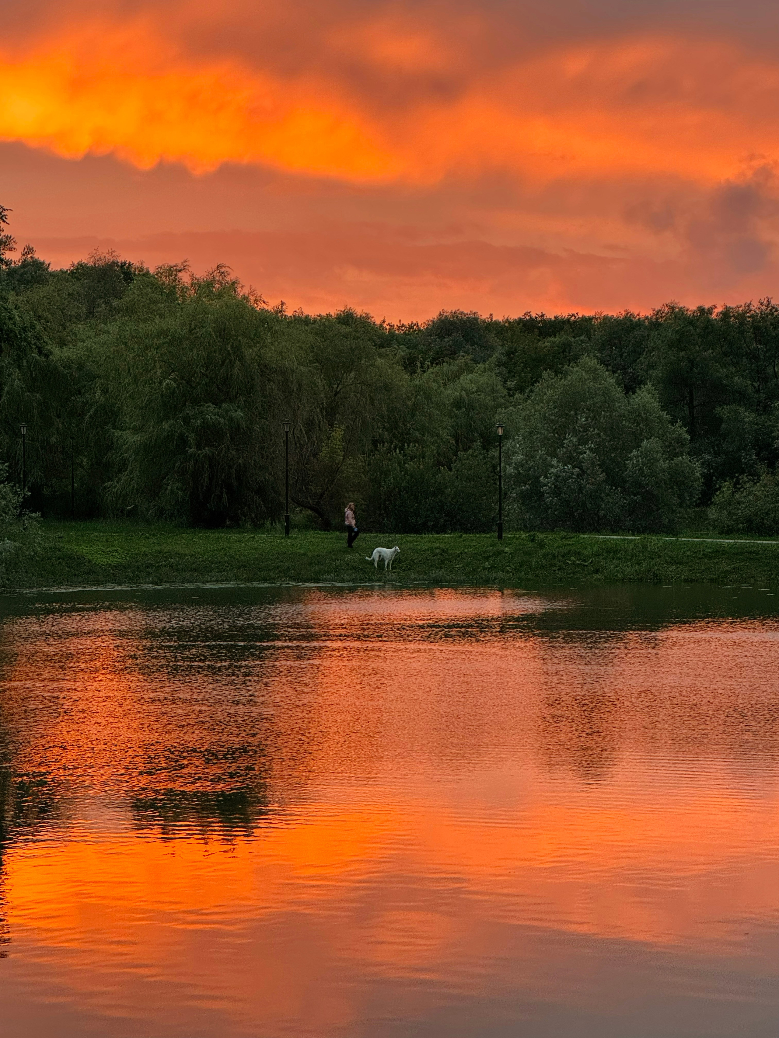 Закат в парке «Свибловские пруды»