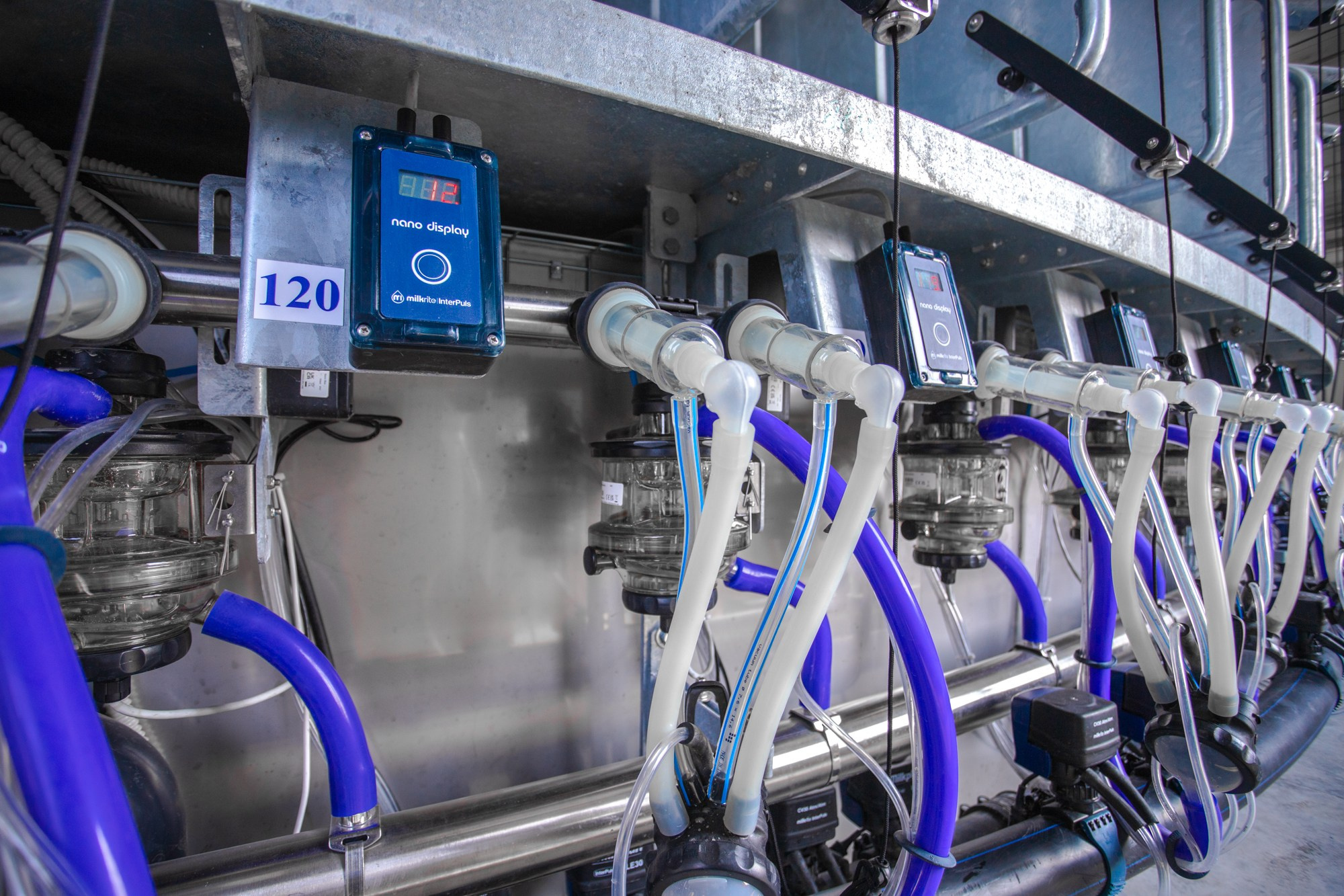 Открытие карусели для дойки скота. Репортажный, промышленный и маркетплейс-фотограф Дмитрий Чернат