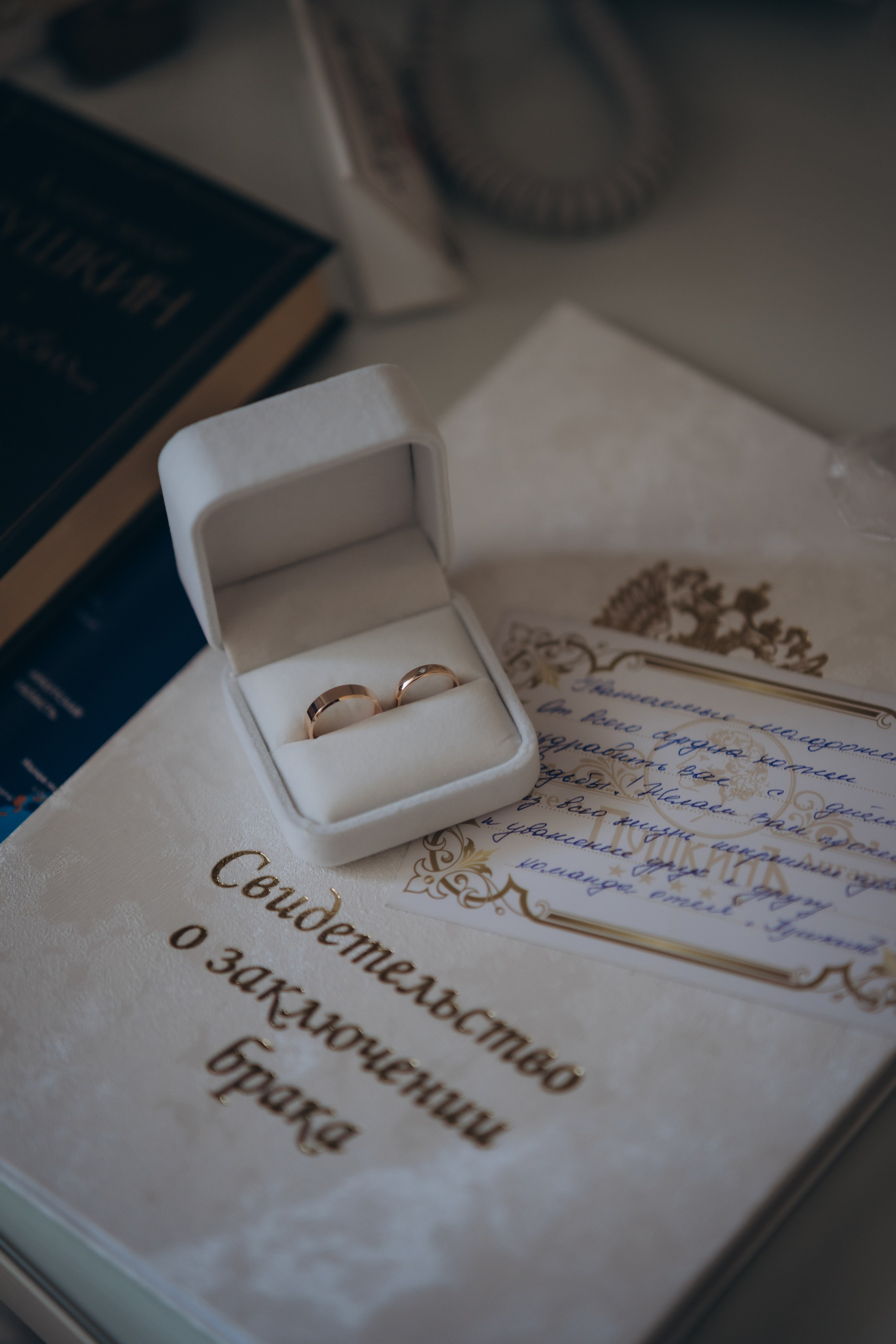 Пушкин. Фотограф Ангарск Иркутск Ксения Король