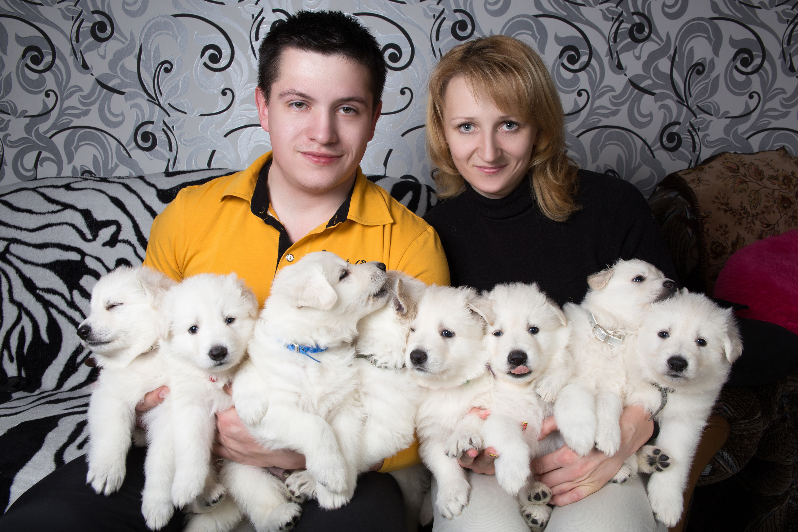 Фото животных. Профессиональный фотограф в Гродно и Республике Беларусь