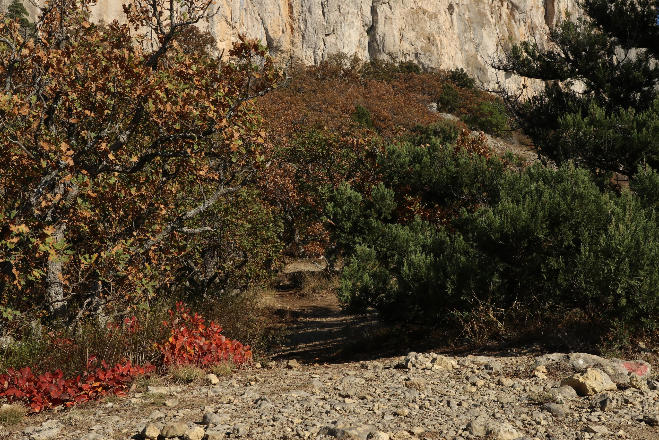 Крым. ЮБК (Гурзуф, Судак и их окрестности). Ноябрь 2023. Путешественник-фотограф из Санкт-Петербурга Татьяна Свистулина