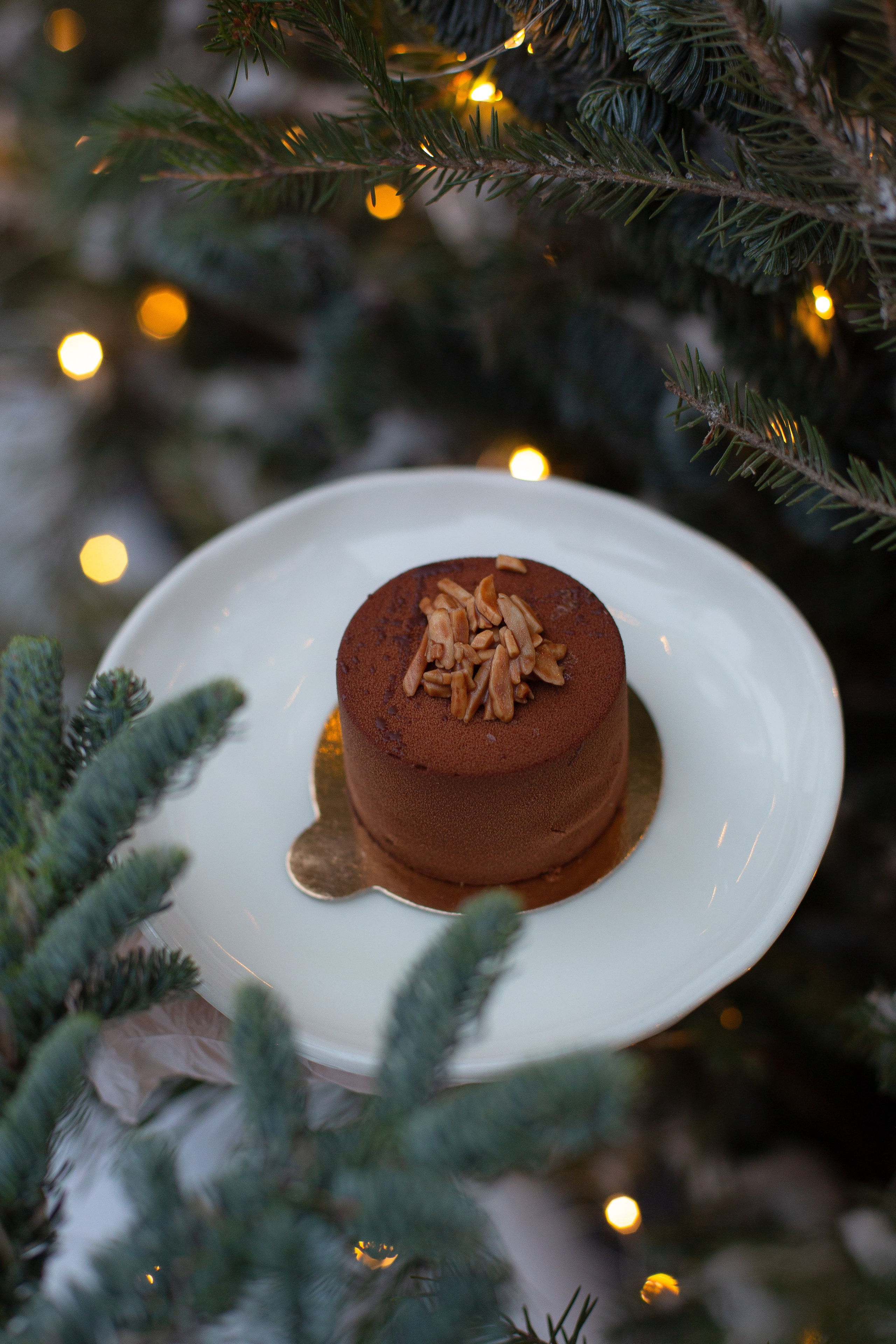 Контент-съёмка для кафе. Фотограф Евгения Мальцева, Архангельск