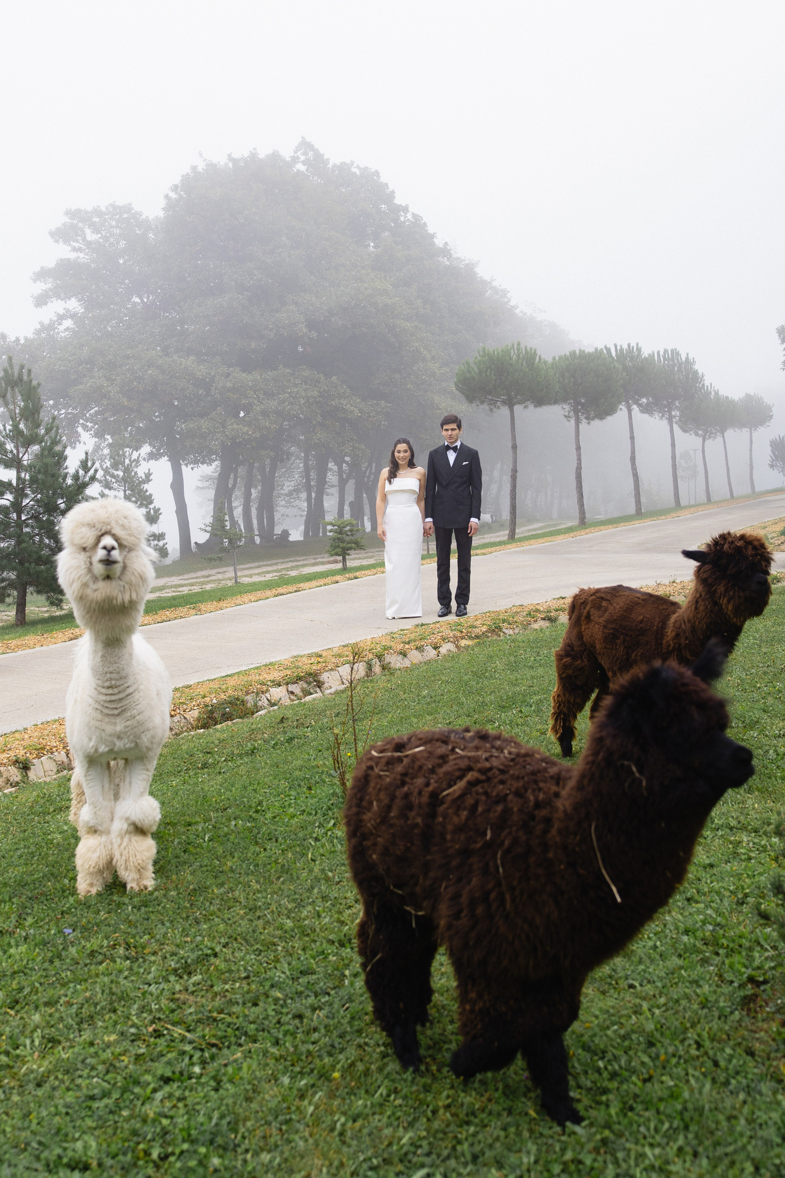 Anna Fridenberg | wedding photographer