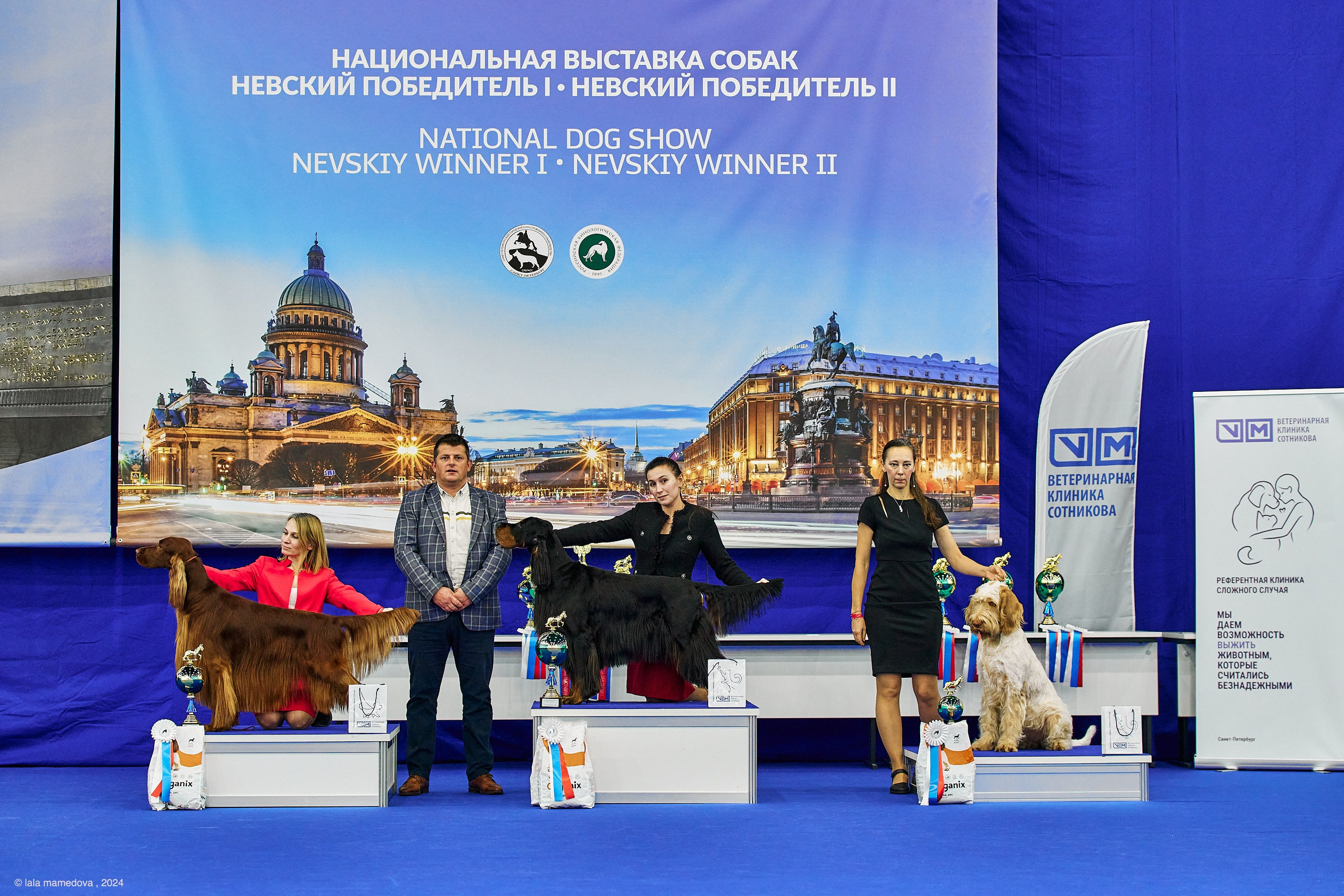 РЕЙТИНГОВАЯ ВЫСТАВКА СОБАК ВСЕХ ПОРОД С ОСОБЫМ СТАТУСОМ"НЕВСКИЙ ПОБЕДИТЕЛЬ-2024-2"
