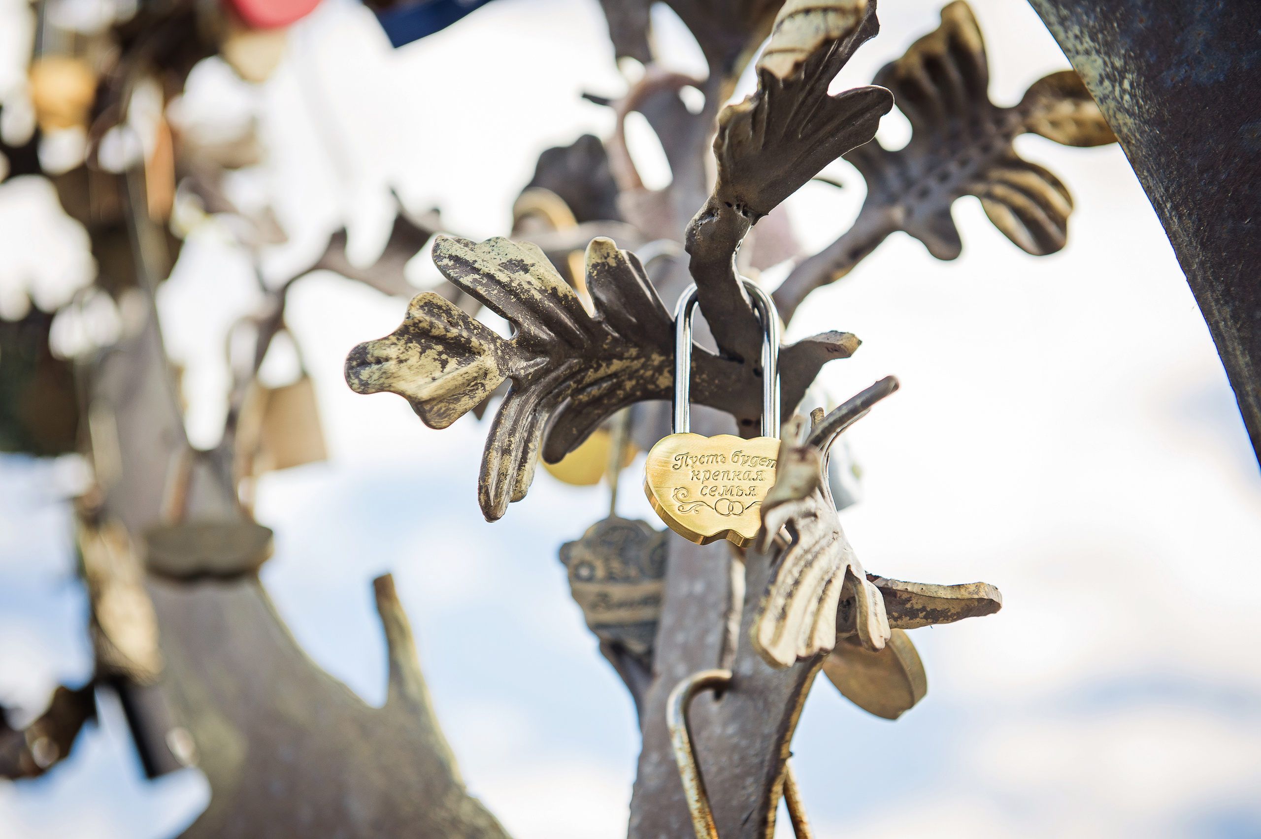 Свадьба Саши и Ксюши