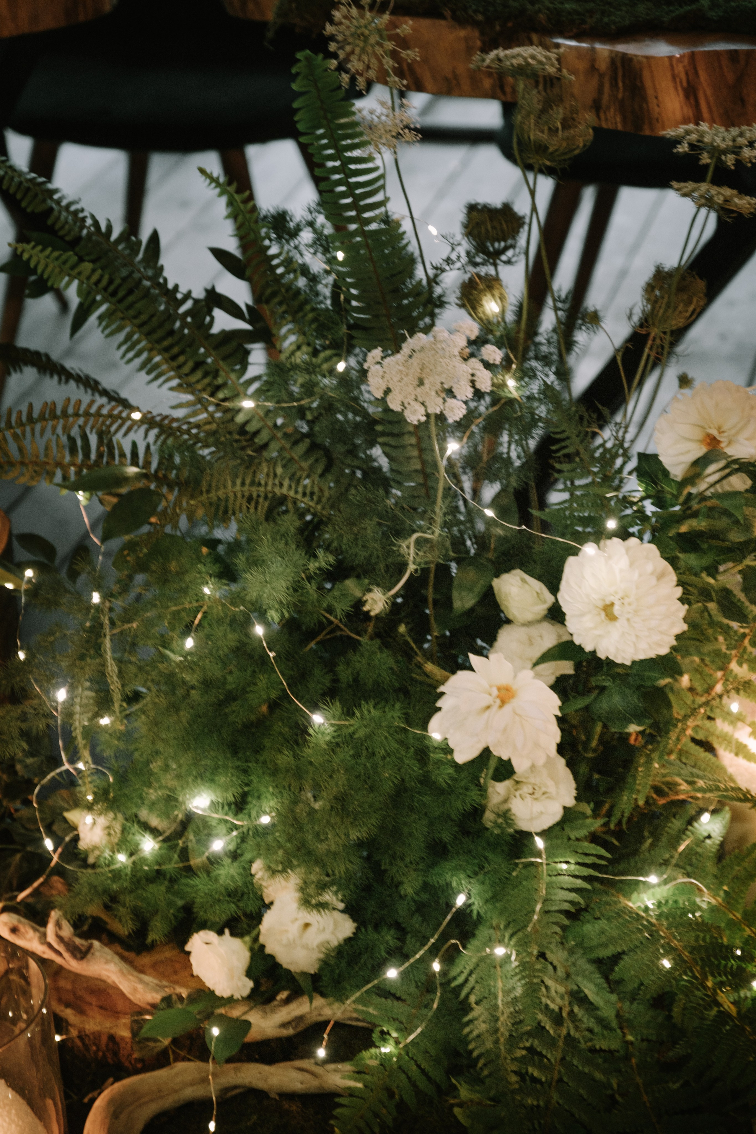 Кот и Дракон. Свадебный Видеограф Фотограф в Сочи